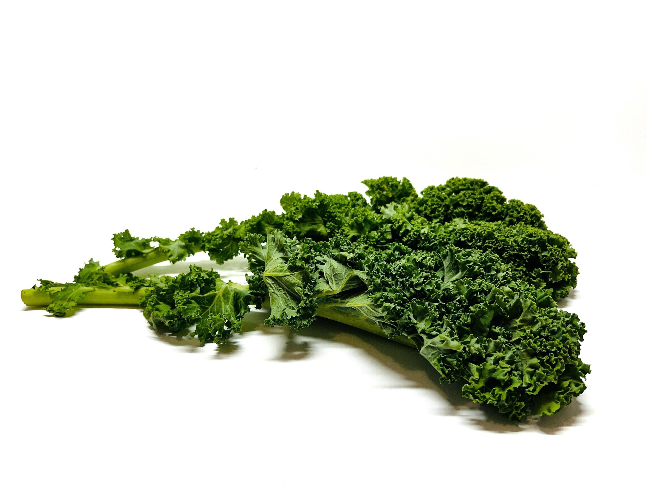 Kale leaf salad vegetable isolated on white background. Creative layout made of kale closeup. Food concept. Stock Free