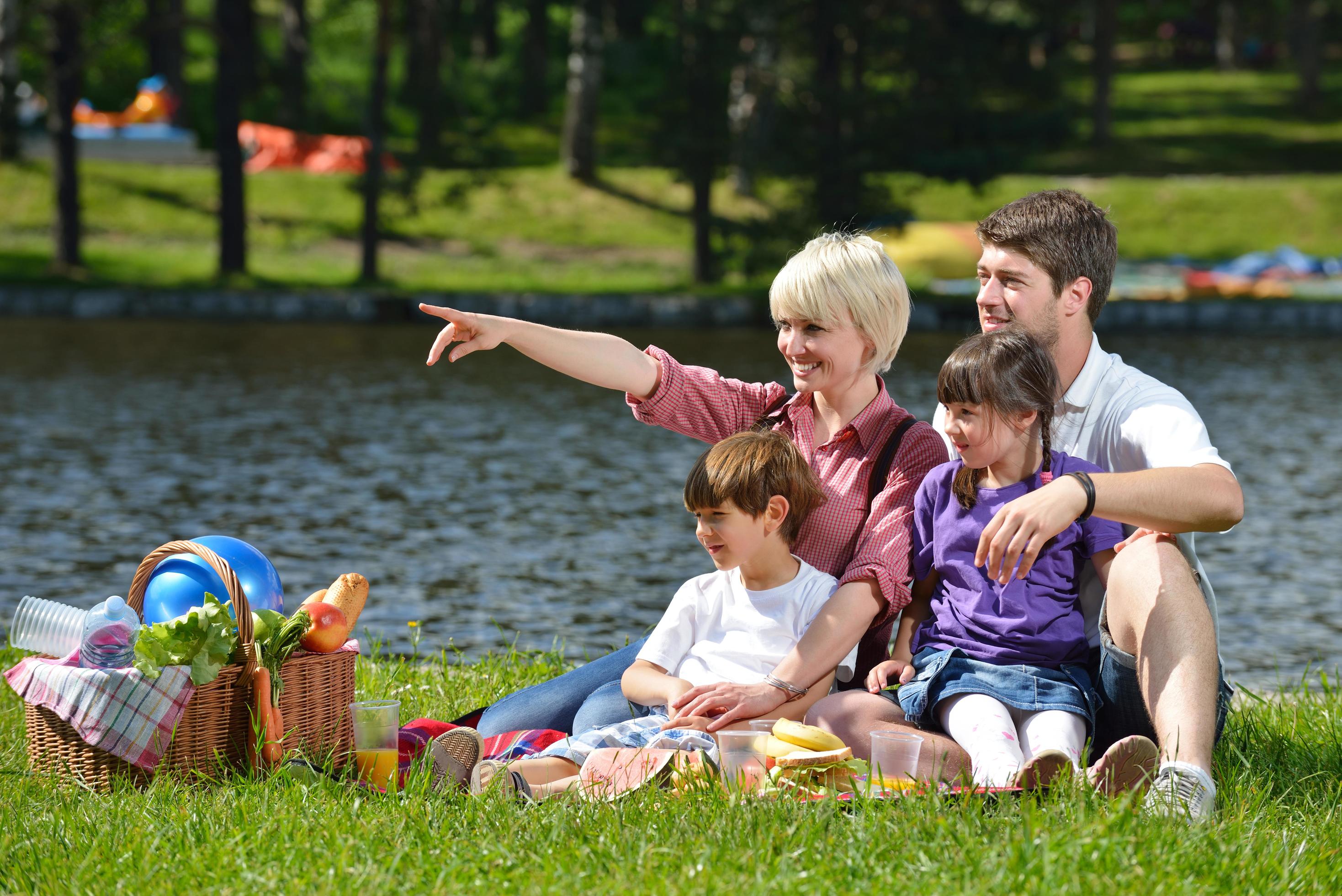 Happy family playing together in a picnic outdoors Stock Free