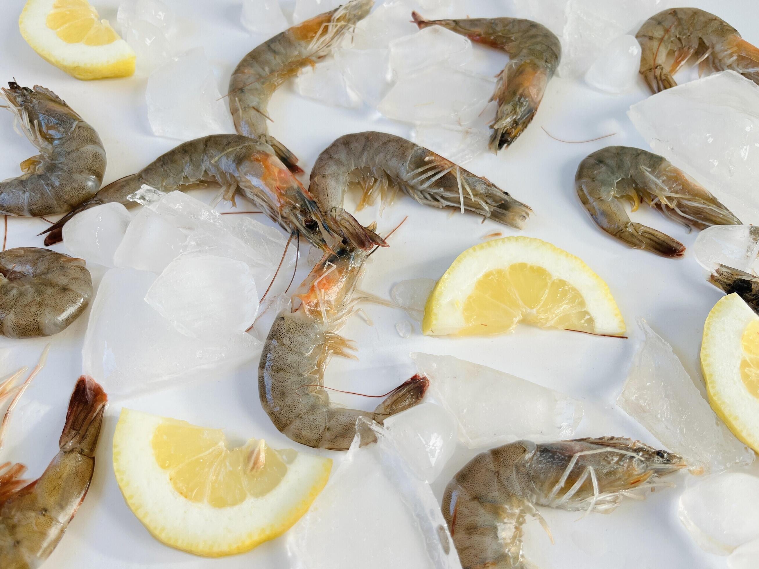 Healthy food. Fresh shrimps with ice and lemon on white background top view Stock Free