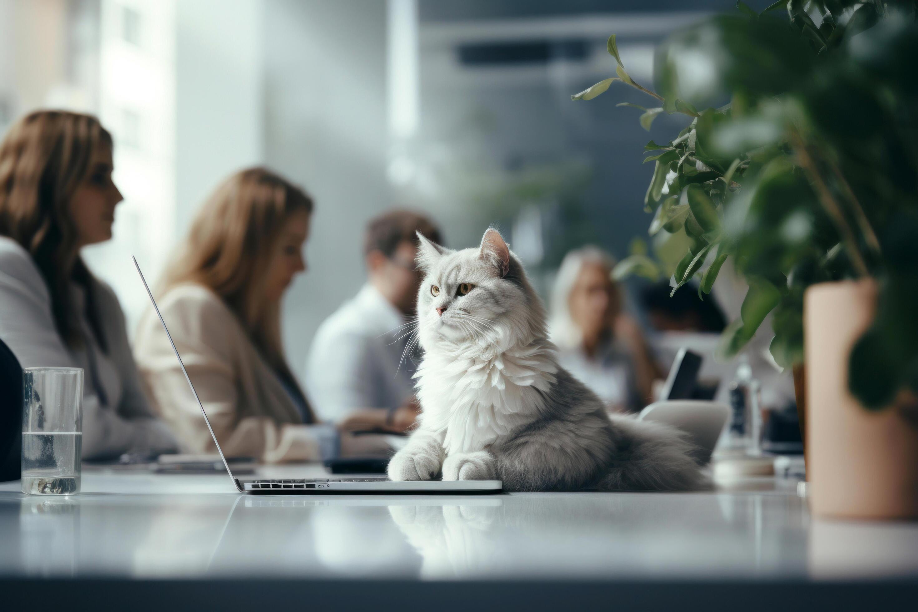 AI generated Cat Sitting on Table at Business Meeting Stock Free