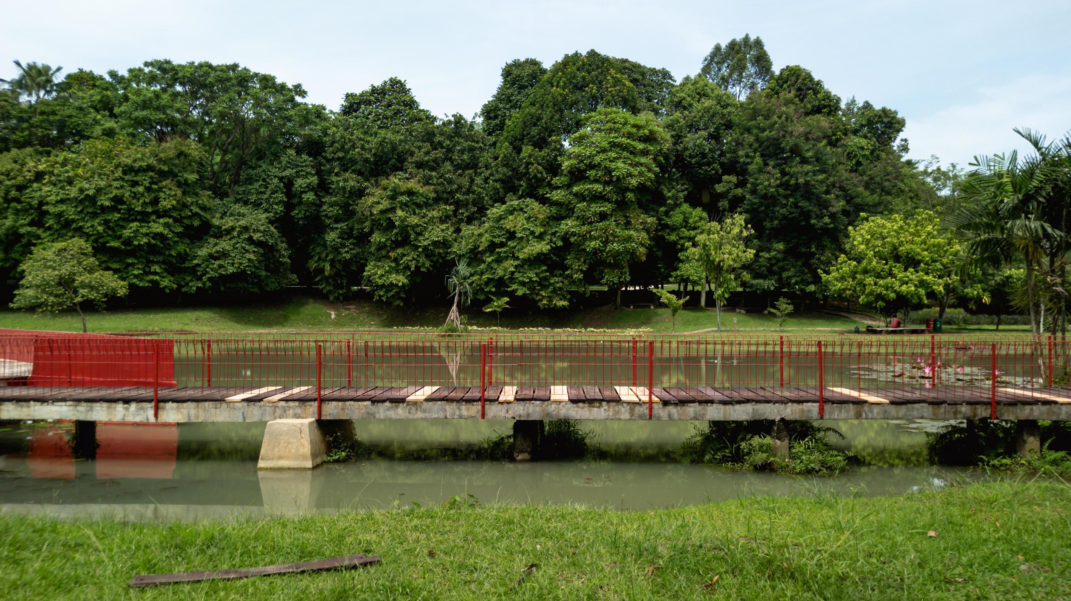 beautiful natural lanscape scenery, lake with wooden bridge, nature wallpaper, landscape background Stock Free