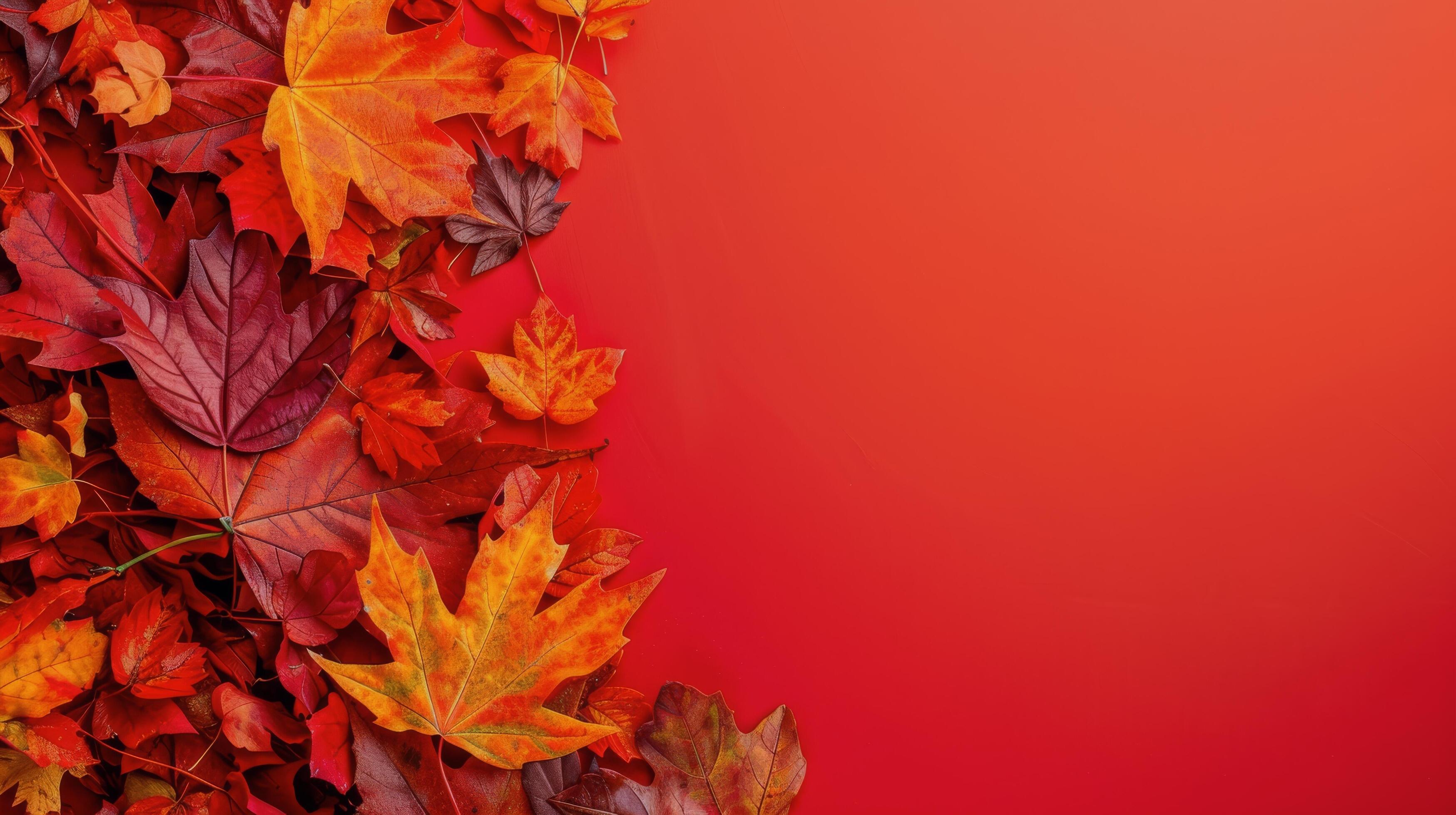 Fall Fruits and Leaves on Red Background Stock Free