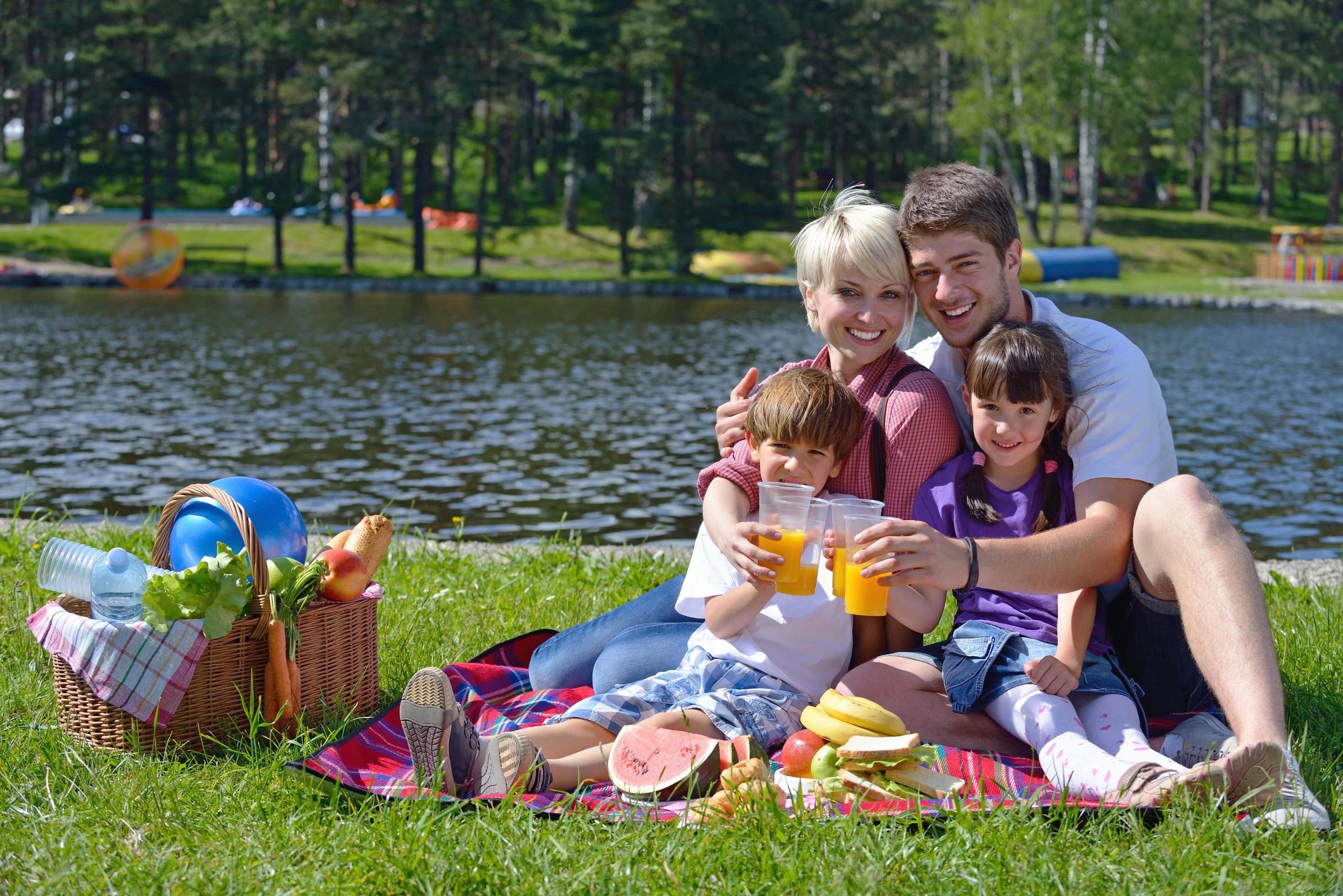 Happy family playing together in a picnic outdoors Stock Free