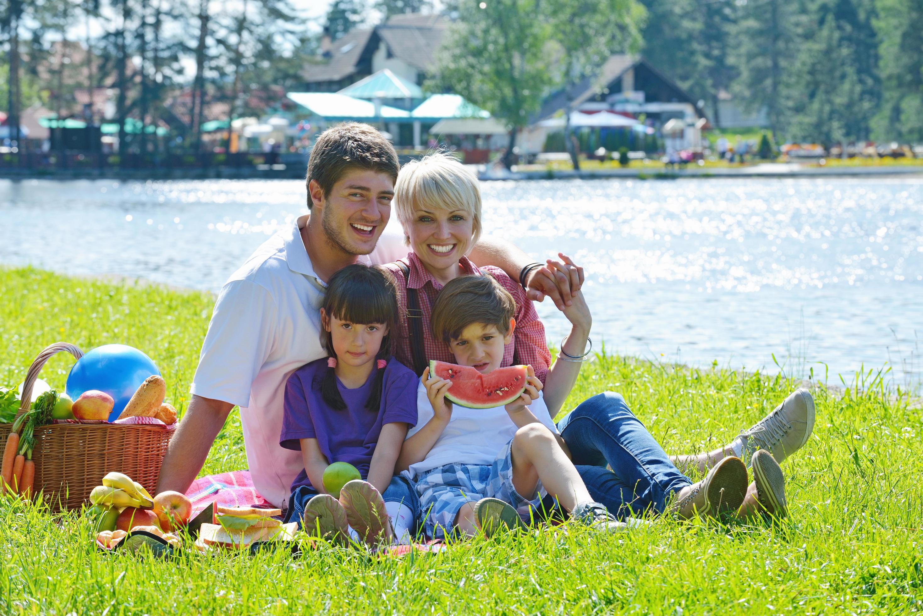 Happy family playing together in a picnic outdoors Stock Free