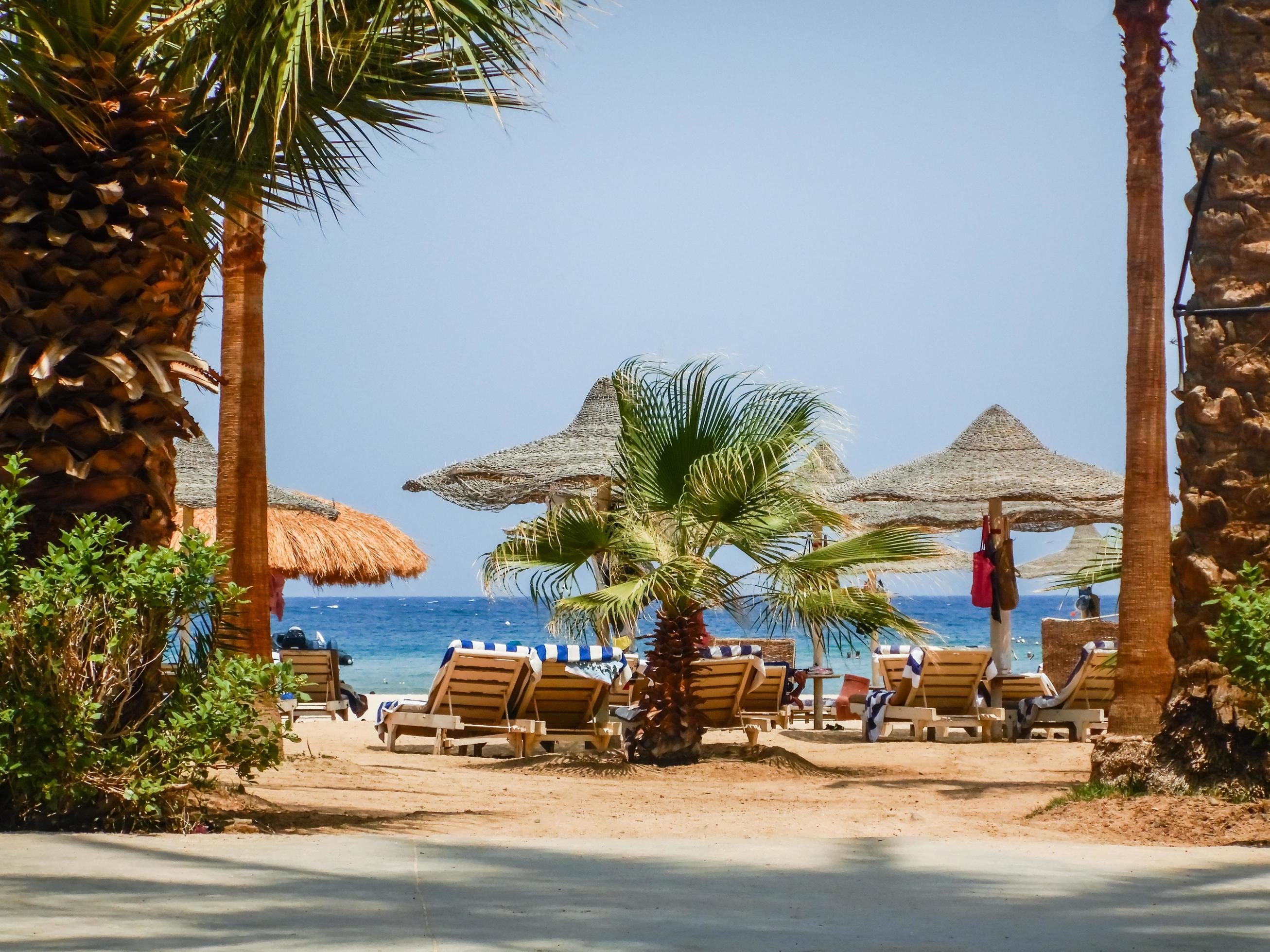 incredible view through palm trees to the beach on vacation Stock Free