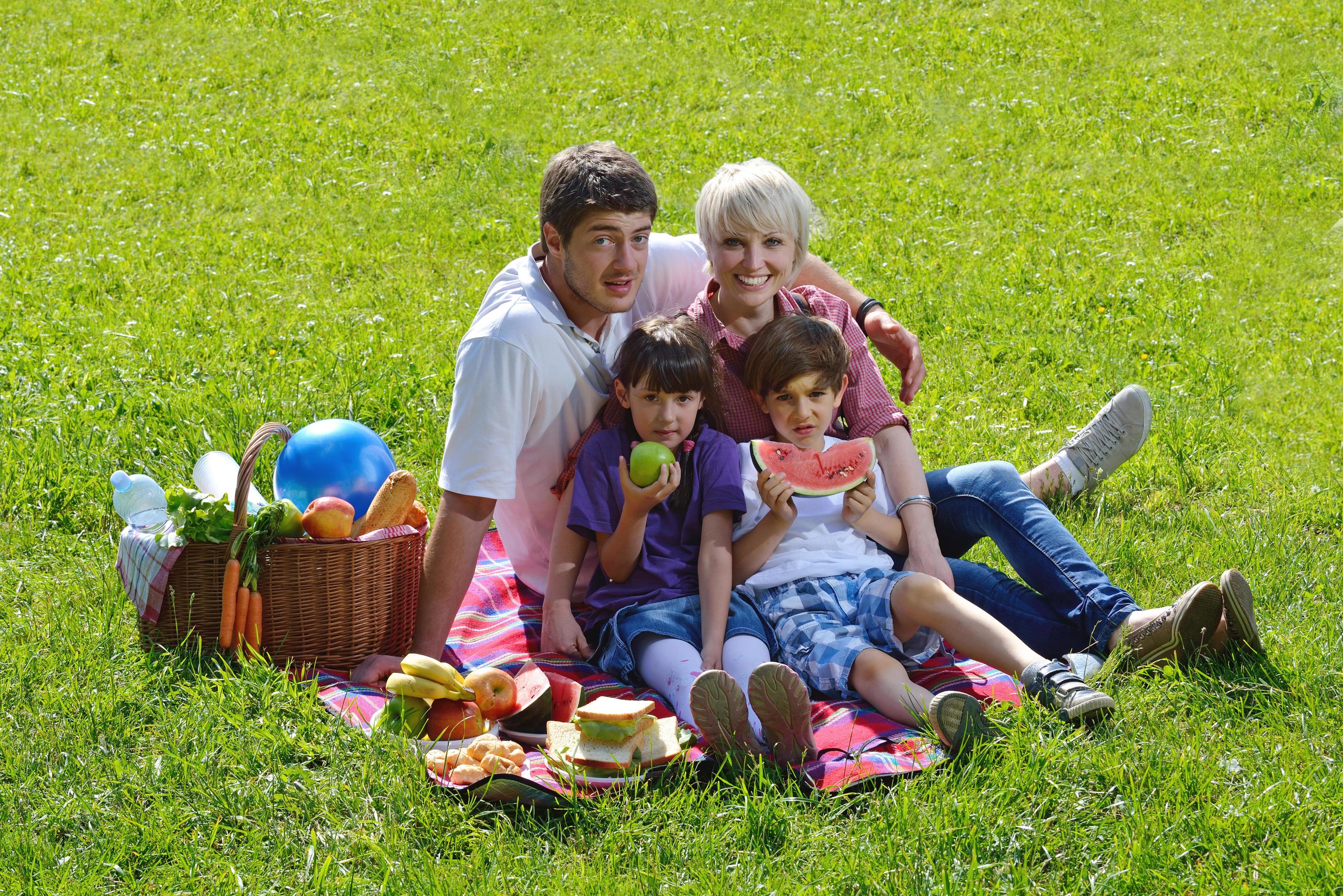 Happy family playing together in a picnic outdoors Stock Free