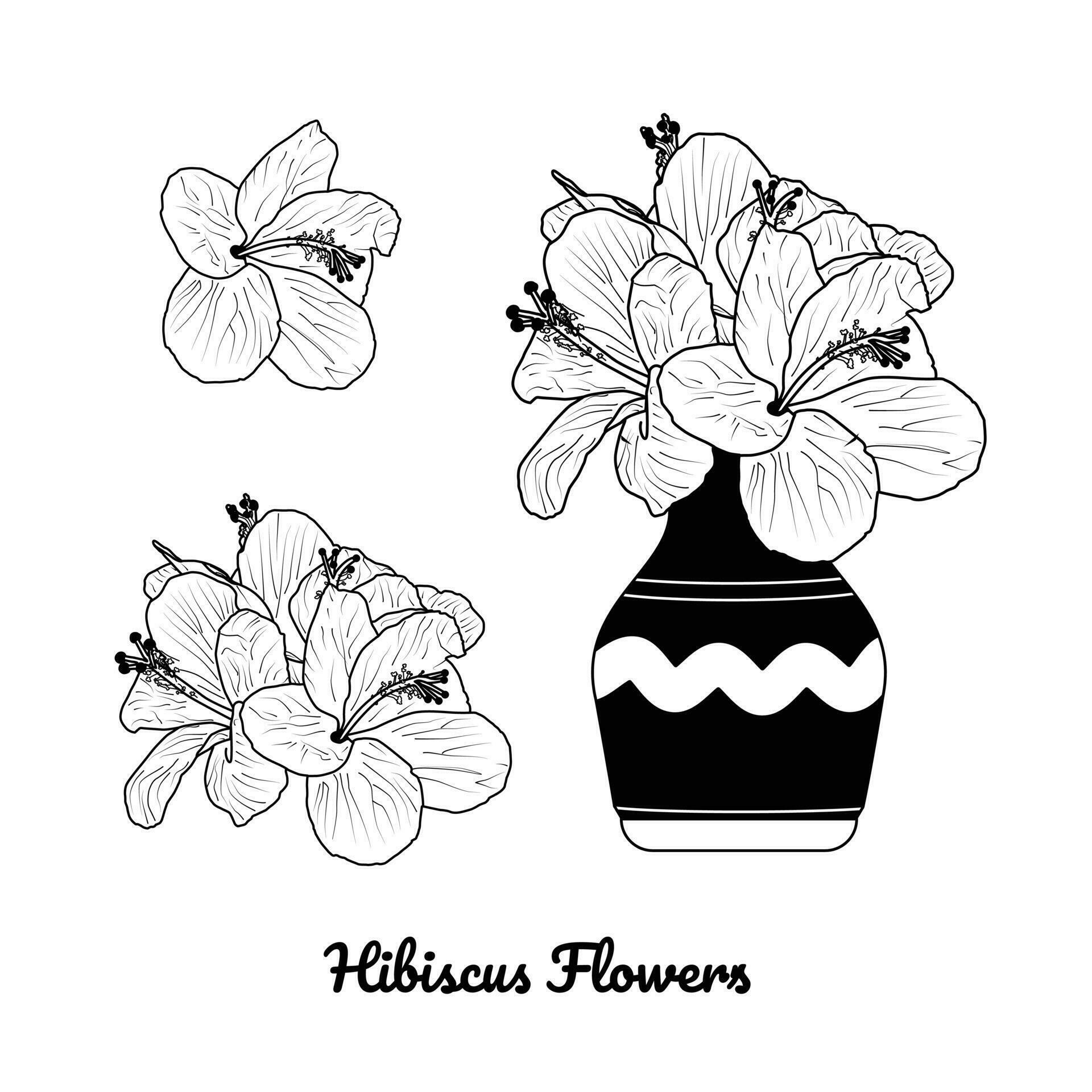 Hibiscus Flowers and Flower Pot, Hand Drawn Hibiscus Flower Stock Free