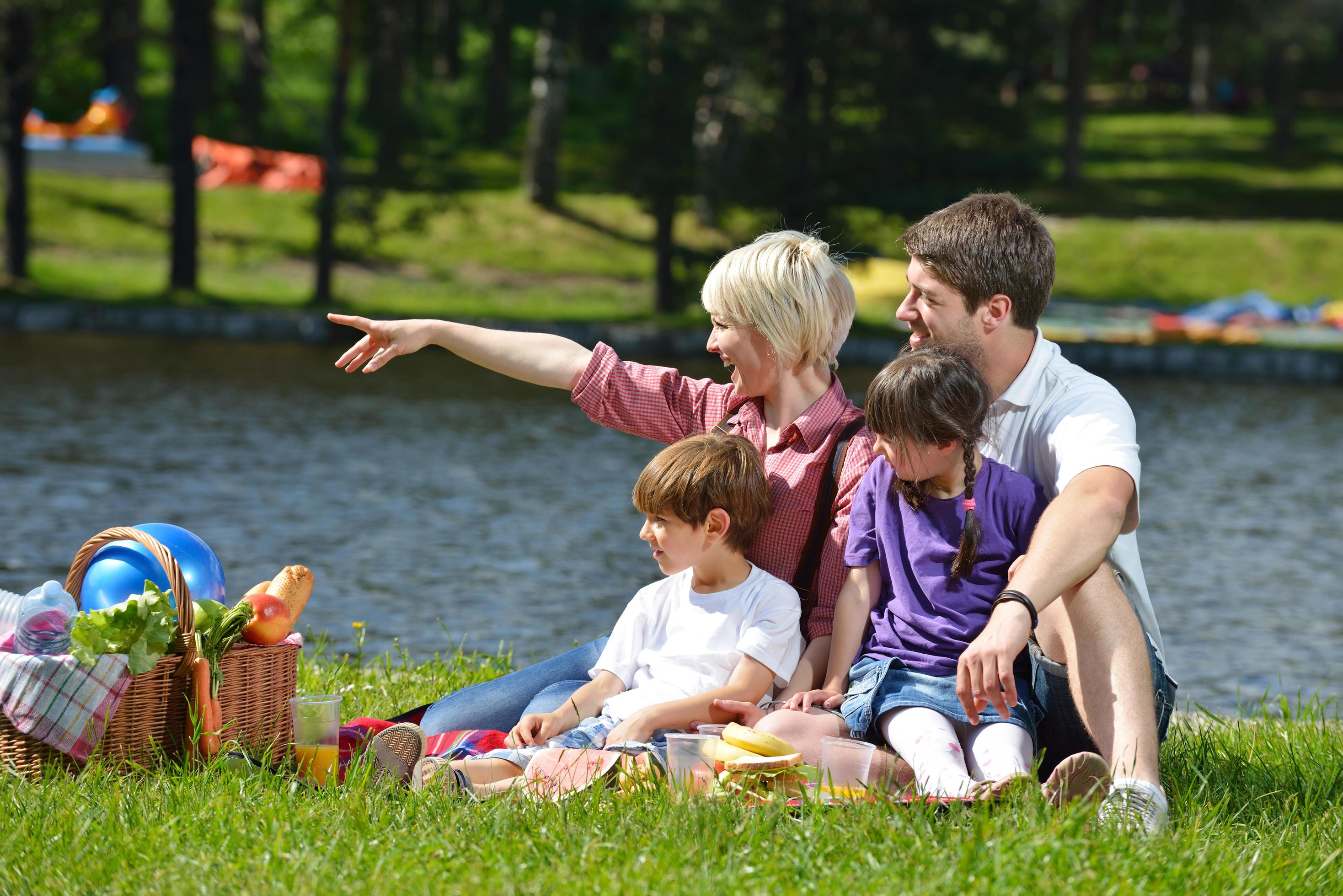 Happy family playing together in a picnic outdoors Stock Free