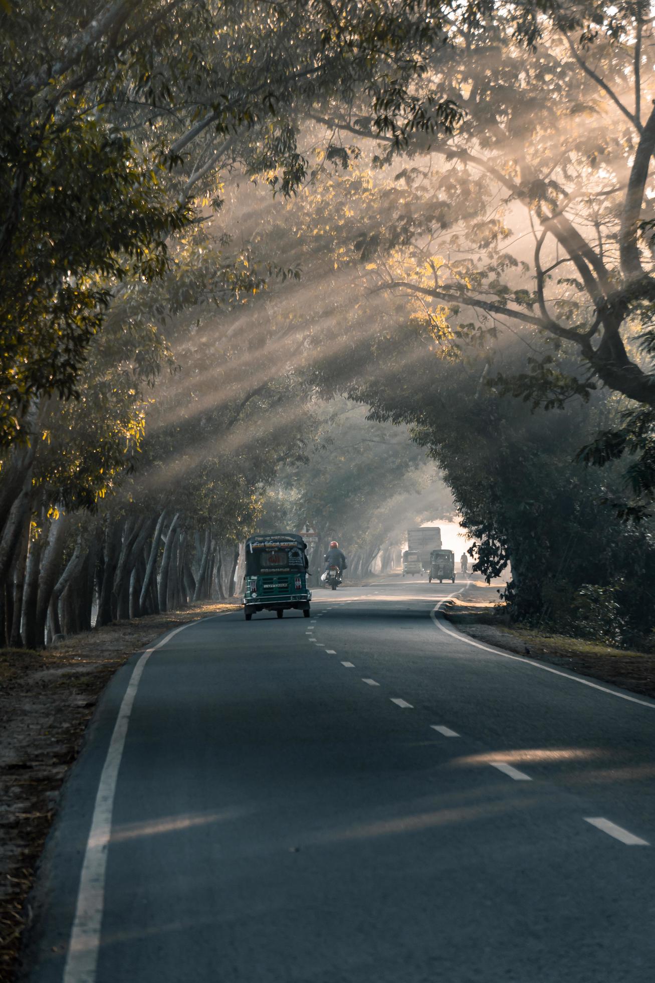 driving through the foggy road Stock Free