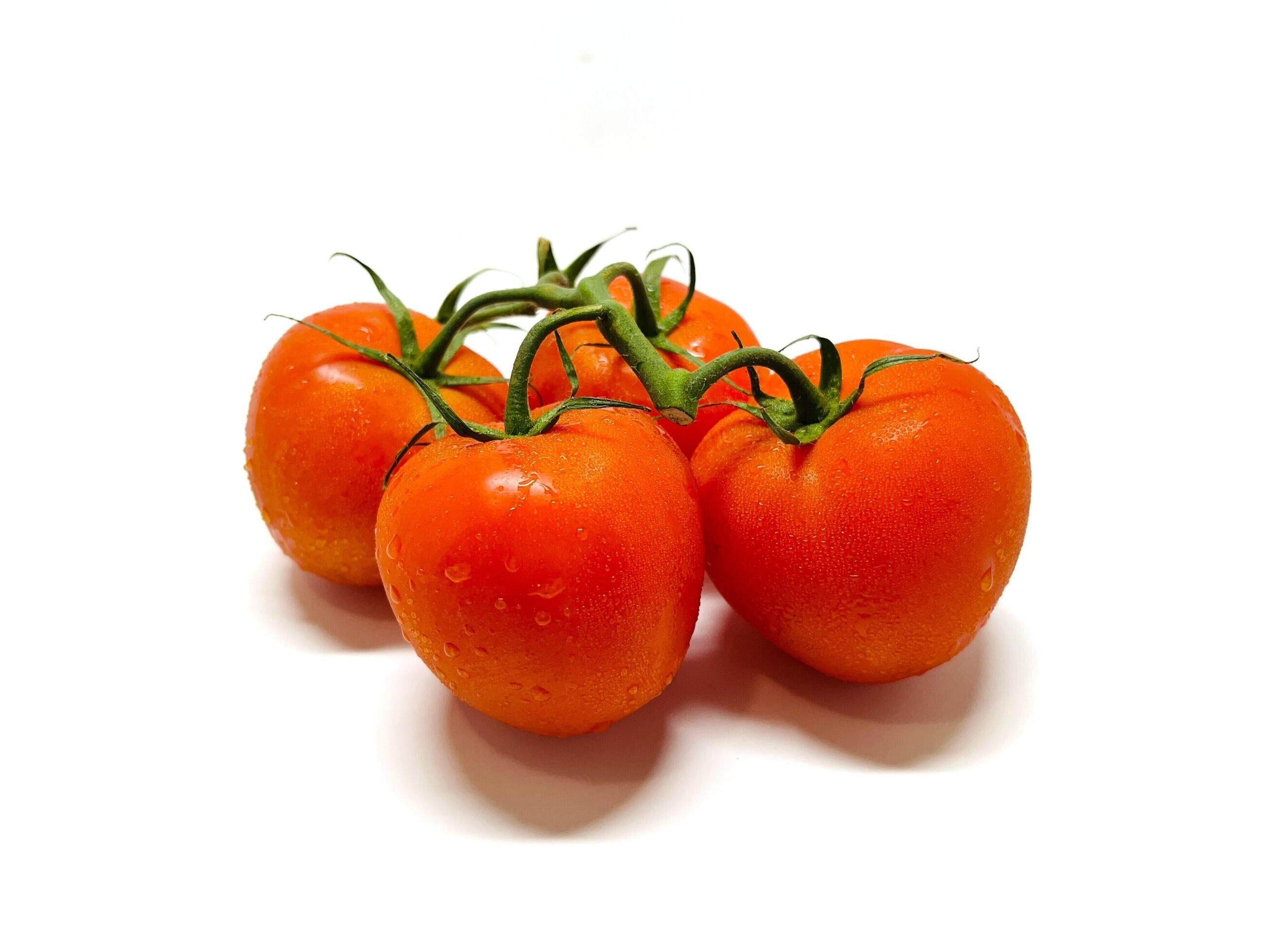 Bunch of fresh, red tomatoes with green stems isolated on white background. Clipping path. Stock Free