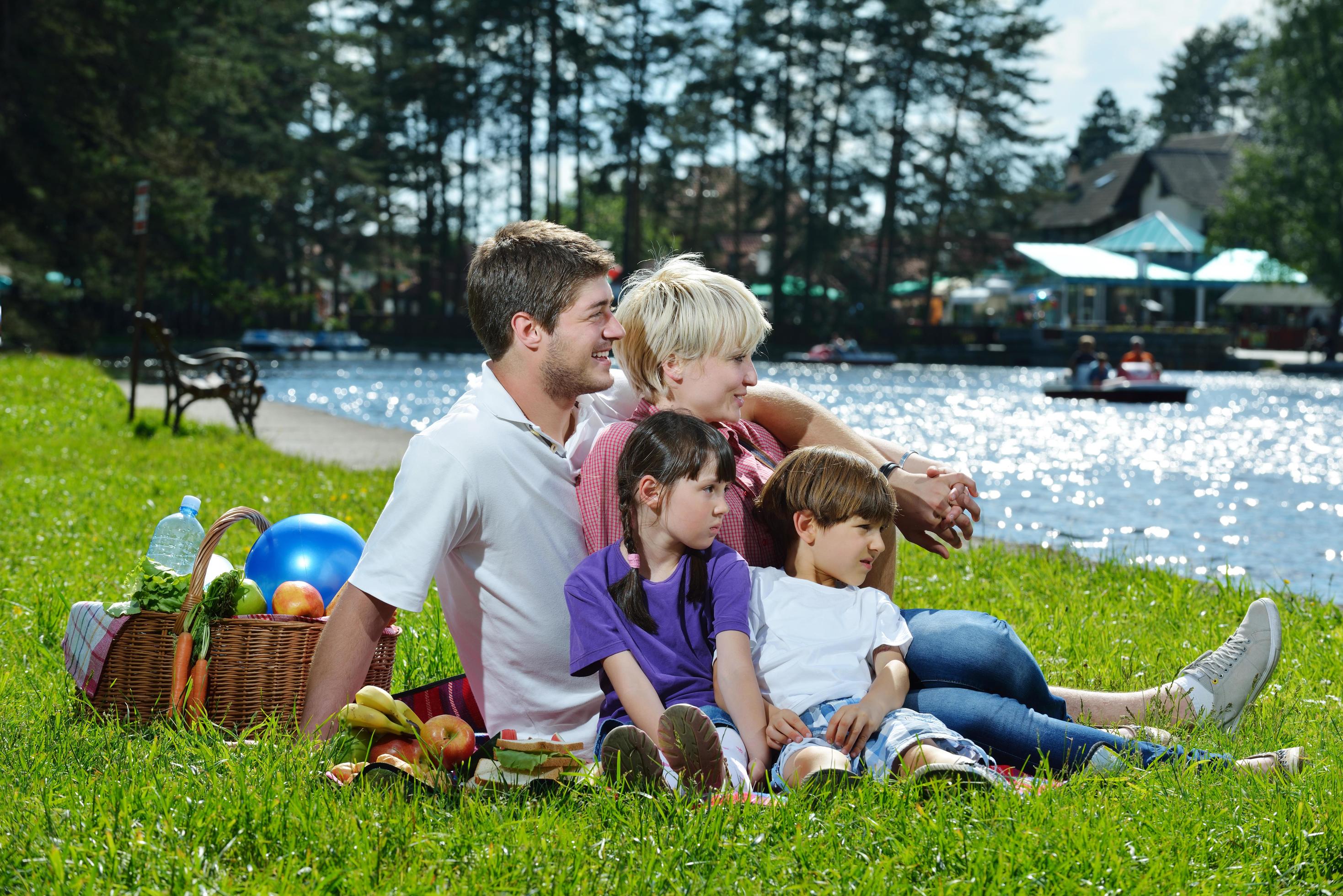 Happy family playing together in a picnic outdoors Stock Free