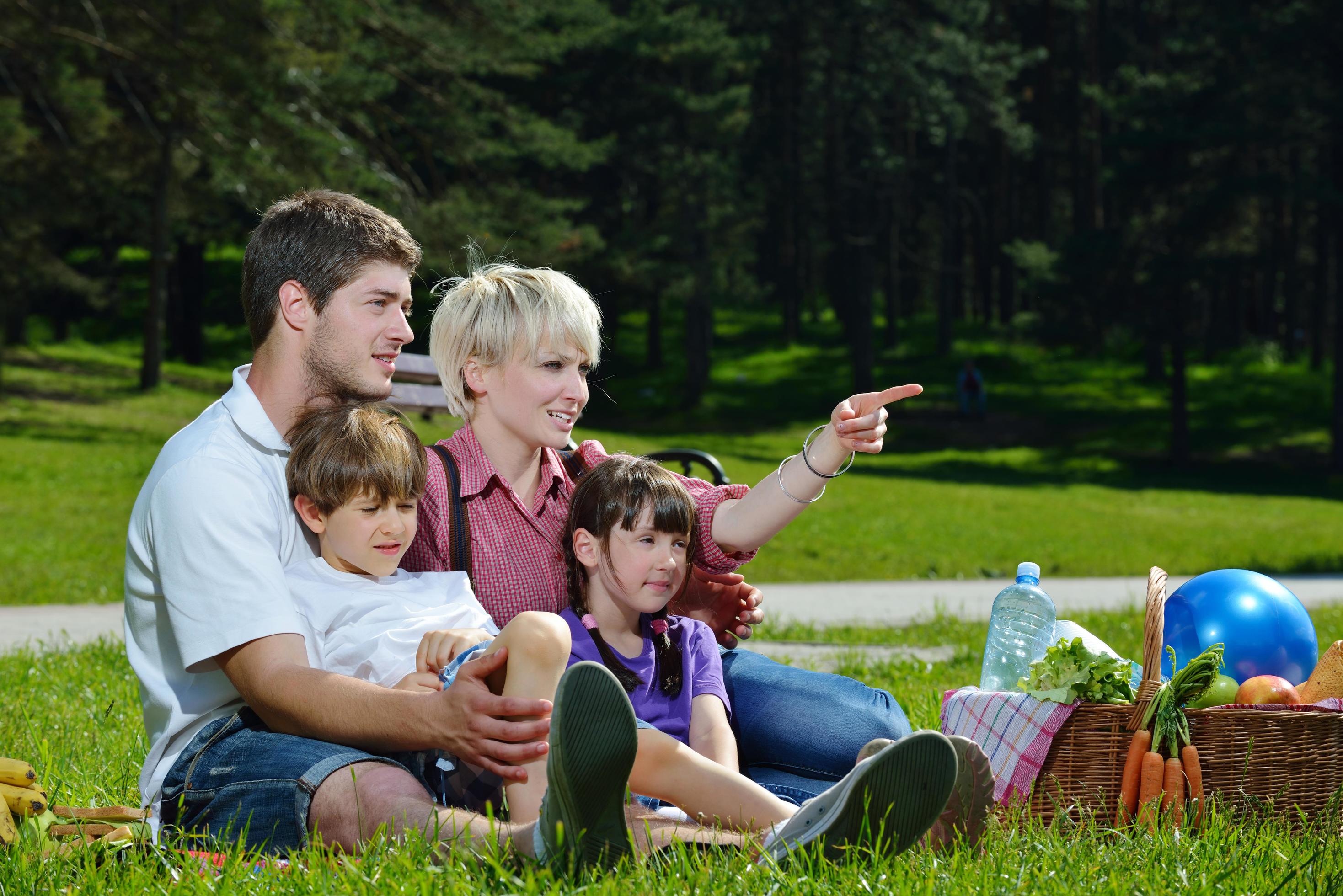 Happy family playing together in a picnic outdoors Stock Free