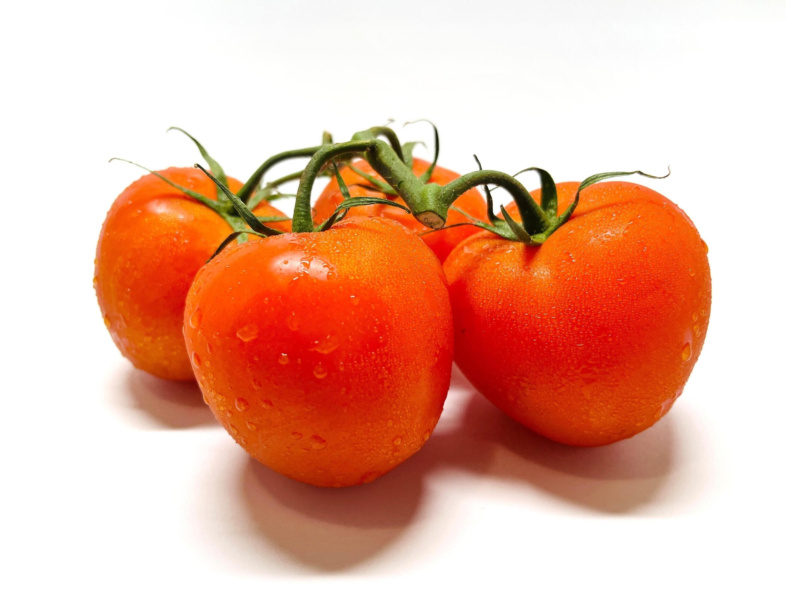 Bunch of fresh, red tomatoes with green stems isolated on white background. Clipping path. Stock Free