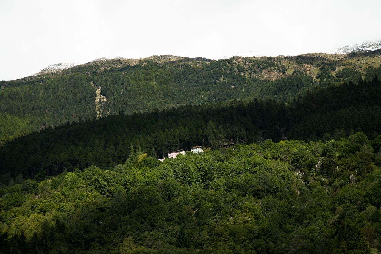 Little house in the forest Stock Free