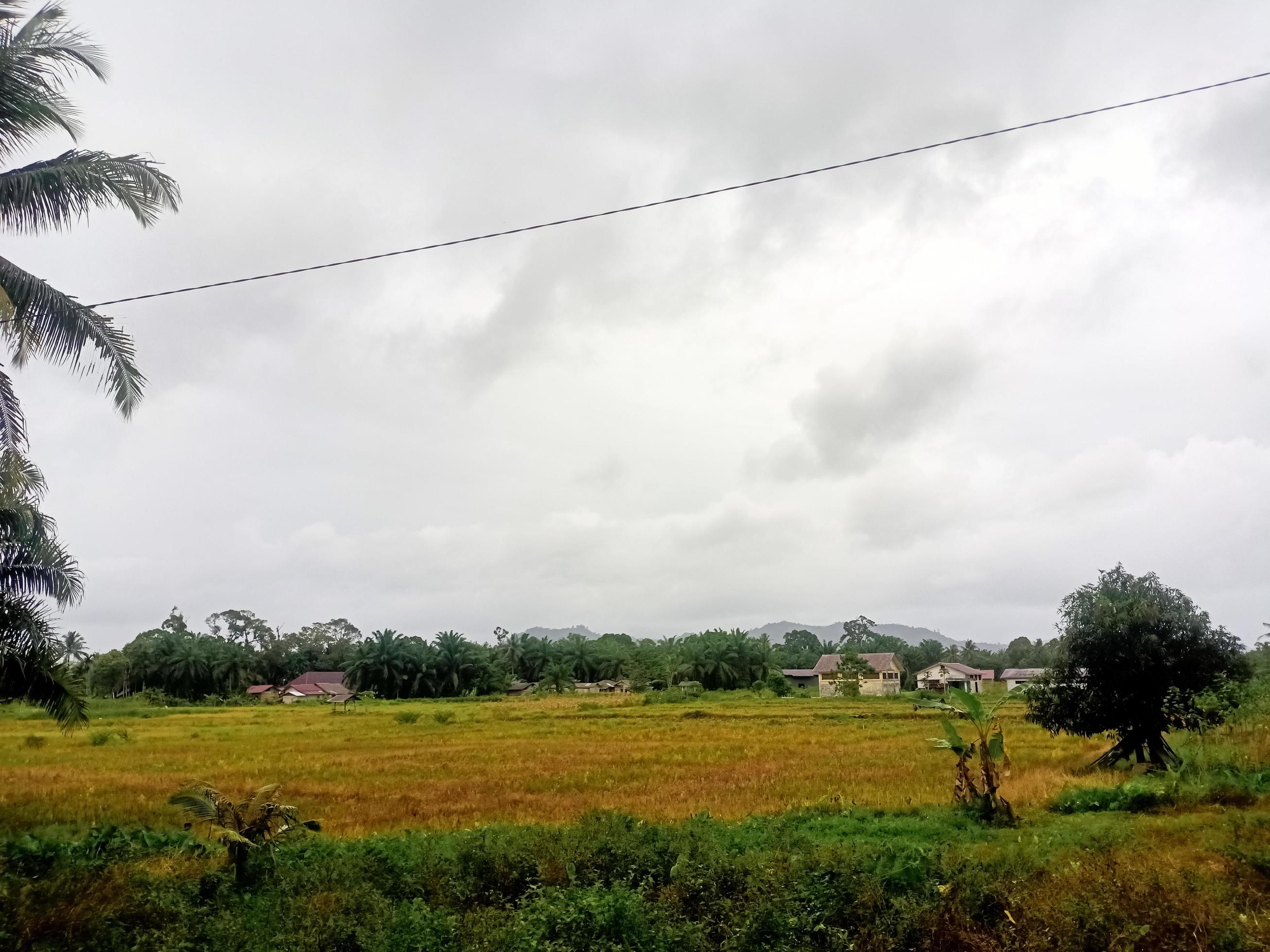 Beautiful view sky of nature Stock Free