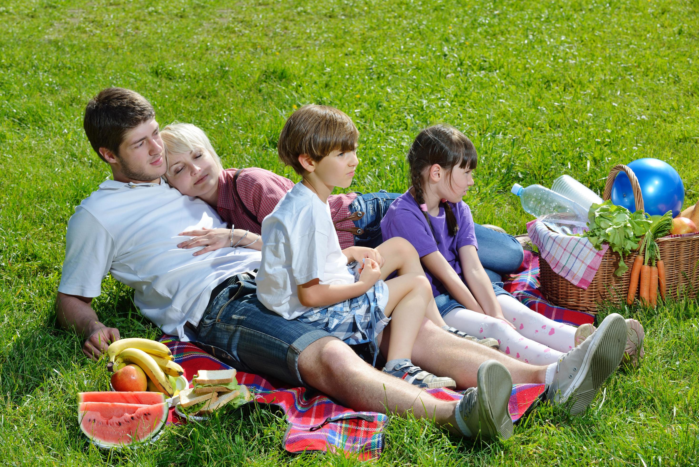 Happy family playing together in a picnic outdoors Stock Free