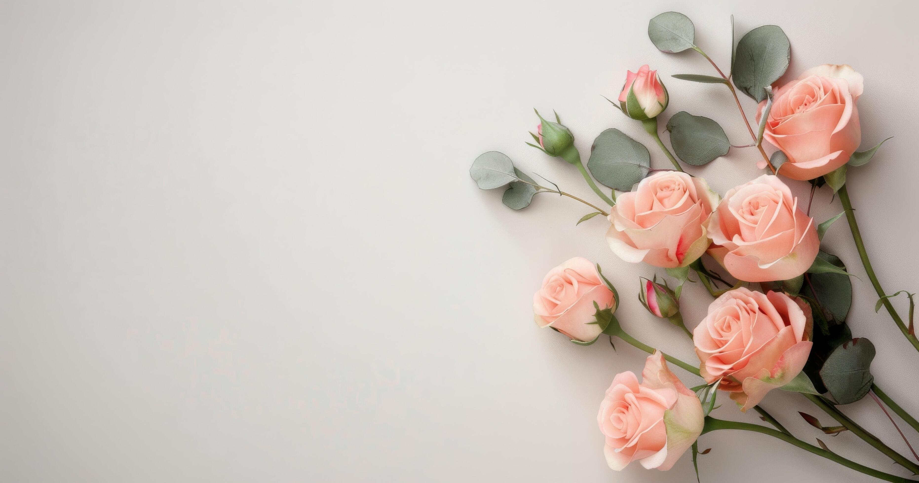 Pink Roses and Greenery on White Background Stock Free