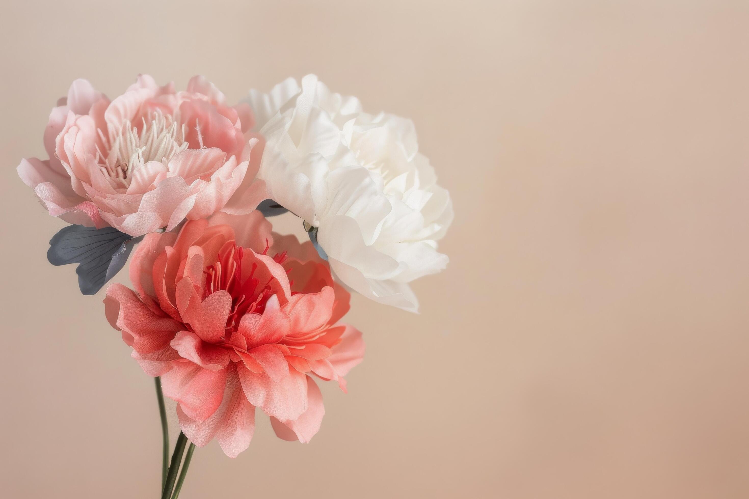 Pink and White Flowers Against Tan Background Stock Free