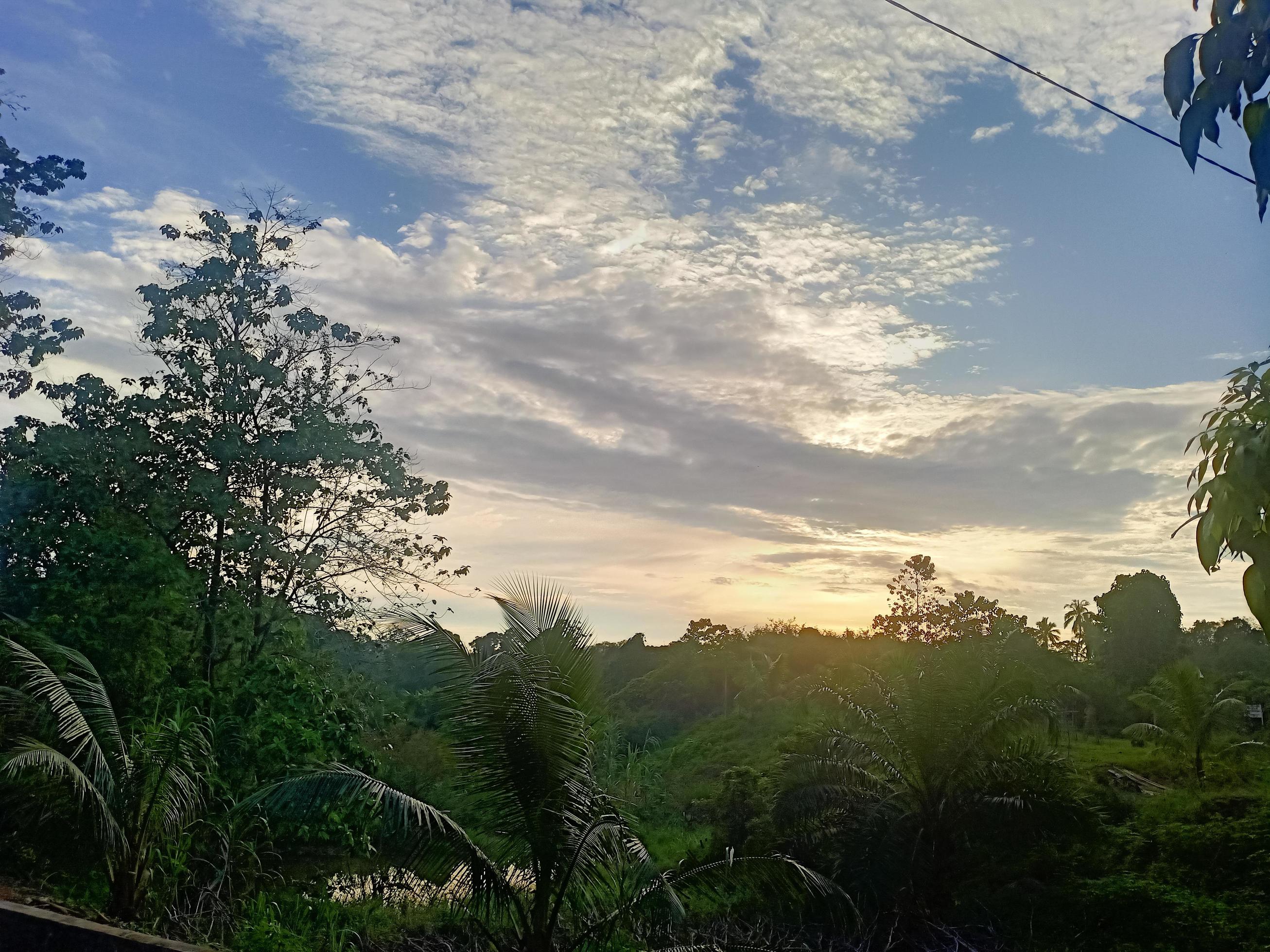 beautiful view clear blue sky and lots of natural green trees Stock Free