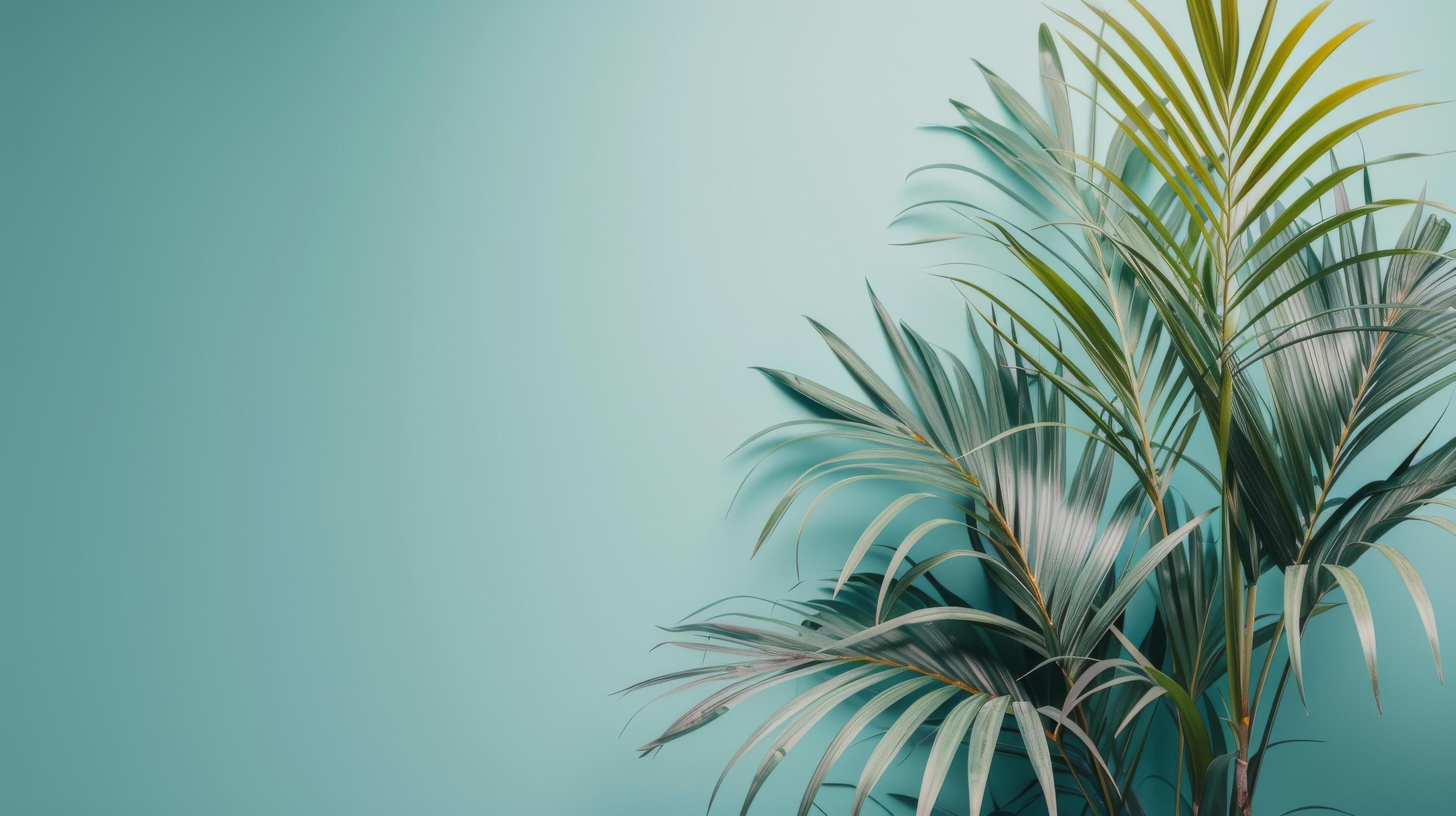 Tropical Leaf Arrangement on Turquoise Background Stock Free