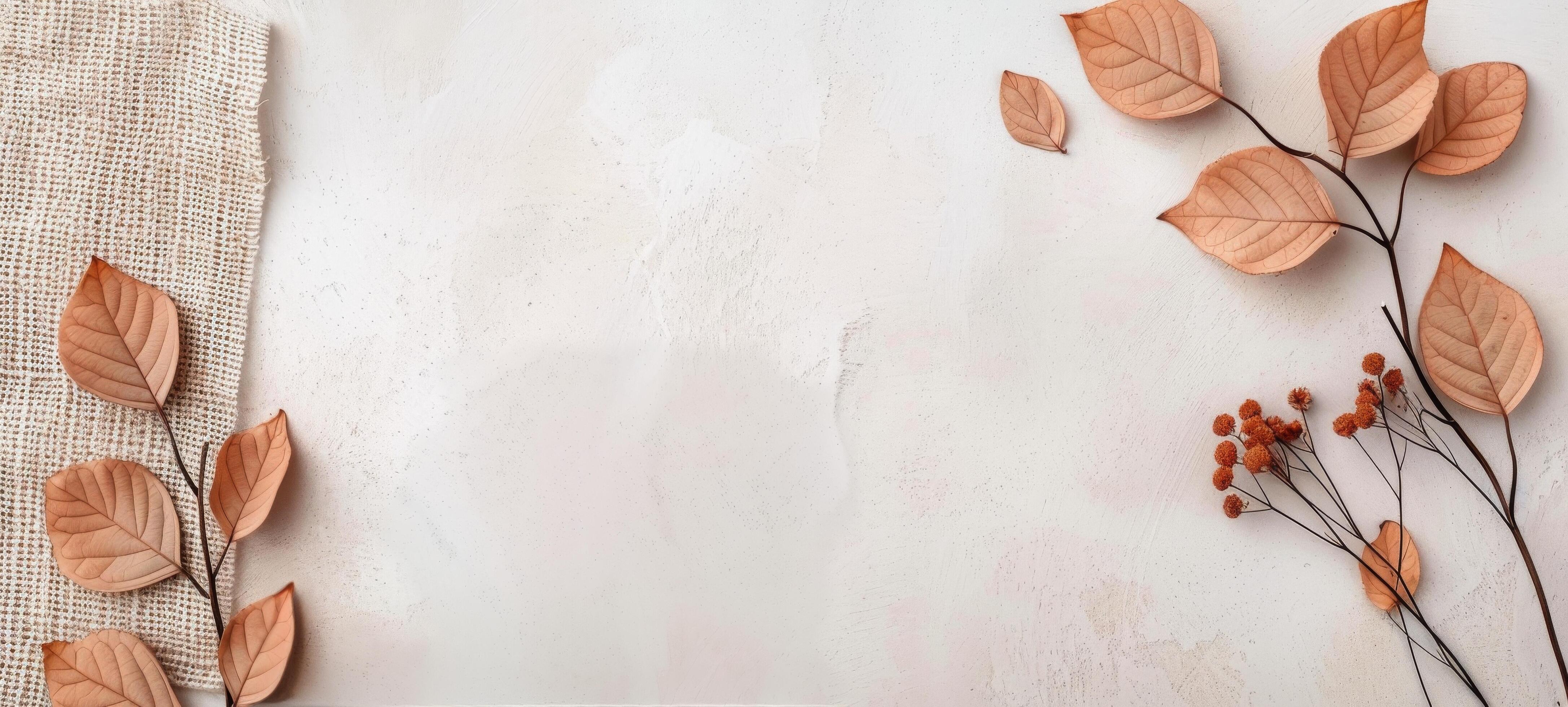 Dried Leaves and Berries on White Background Stock Free