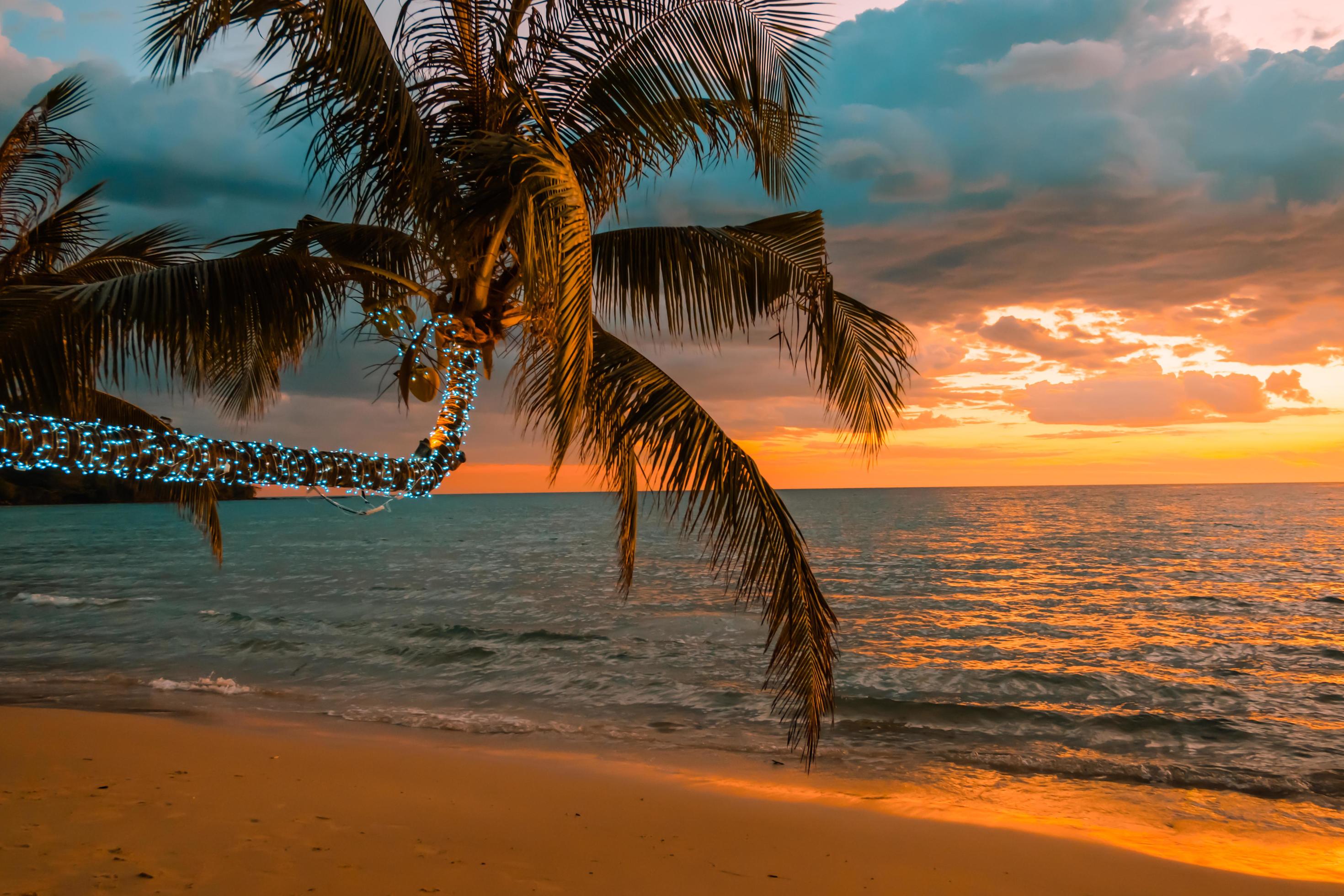 Beautiful sunset tropical beach with palm tree and illuminated for travel in holiday relax time, Stock Free