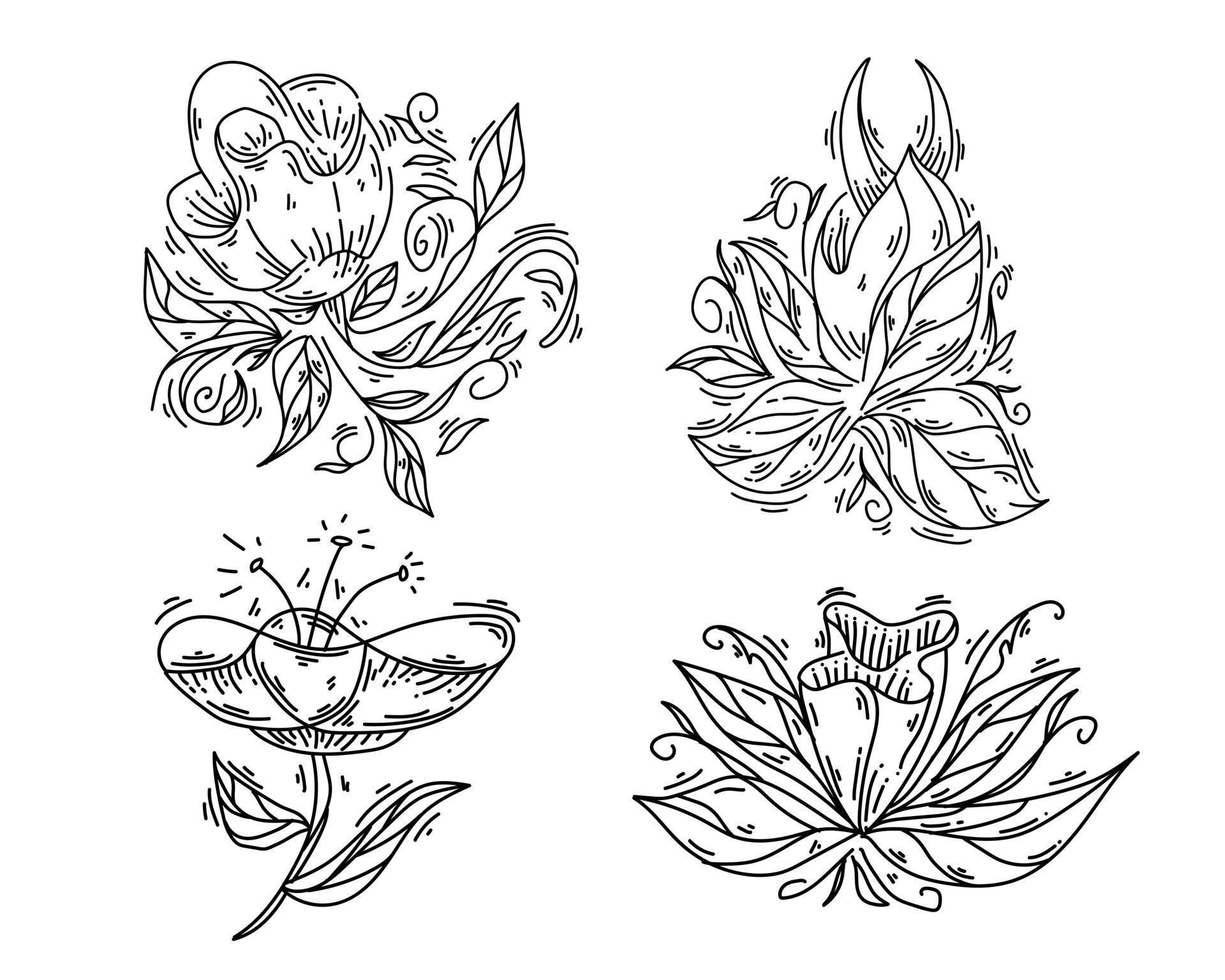 Set of flower nature ornament vector black outline sketch Stock Free