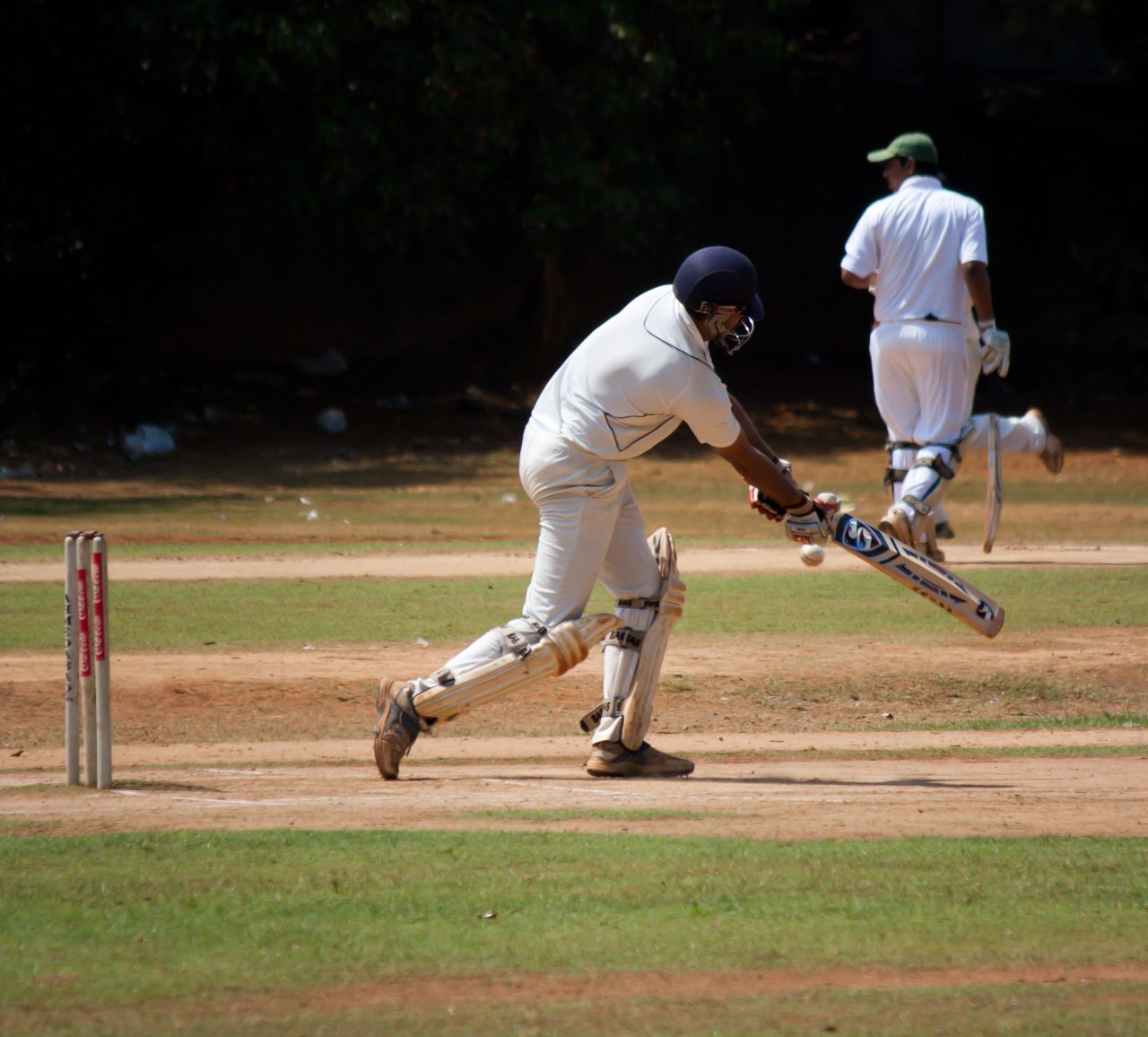 Cricket Sports Stock Free