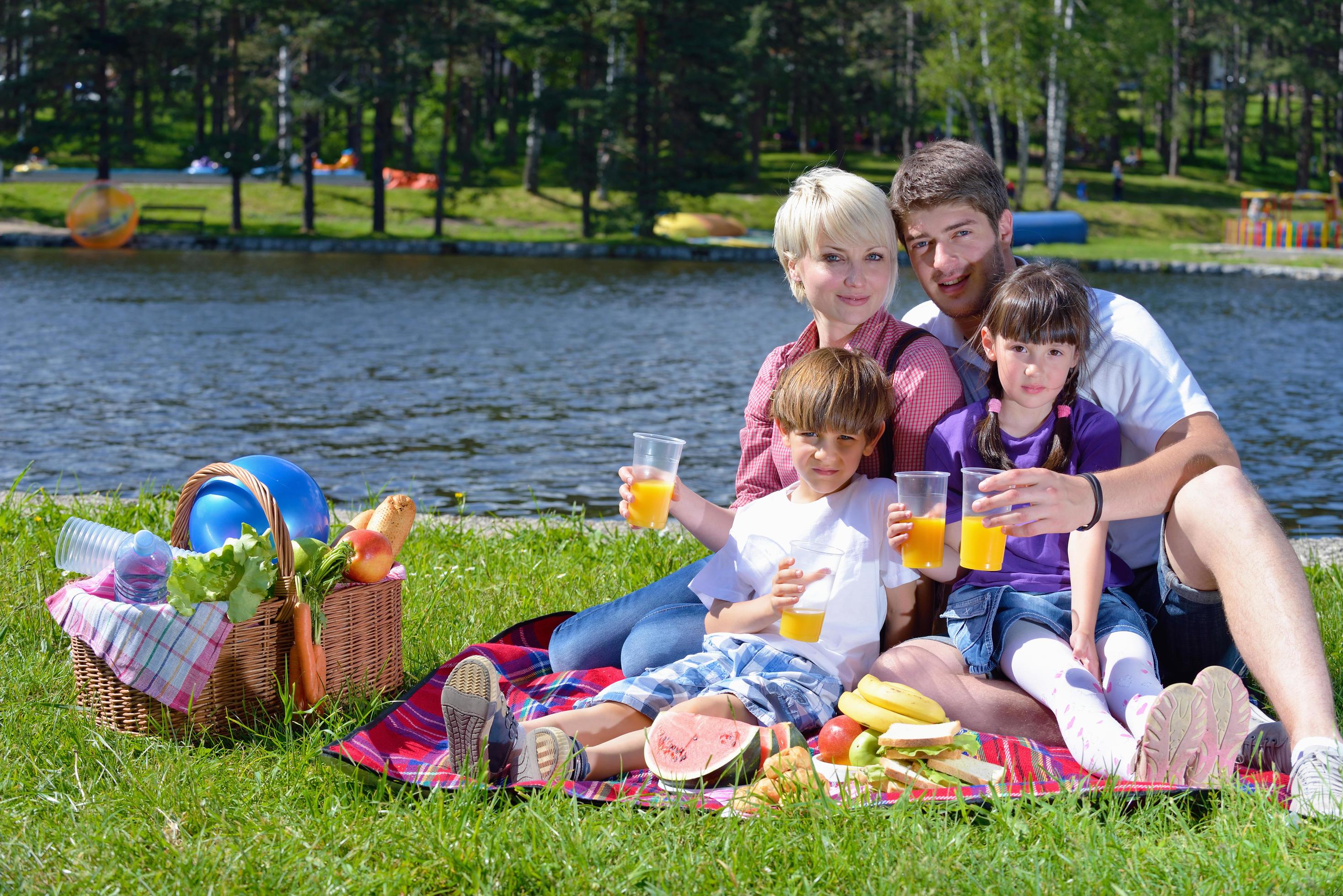 Happy family playing together in a picnic outdoors Stock Free