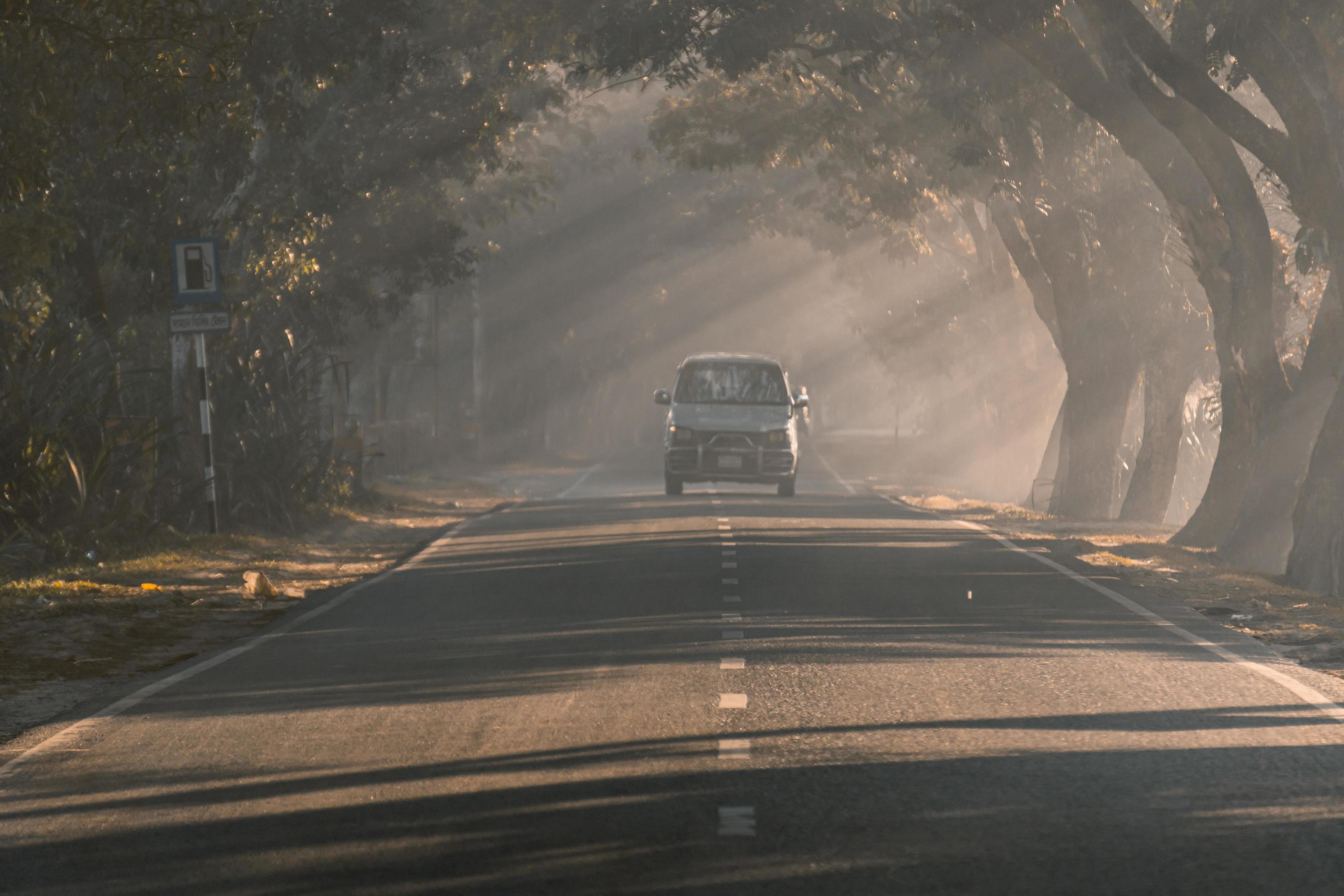 driving through the foggy road Stock Free