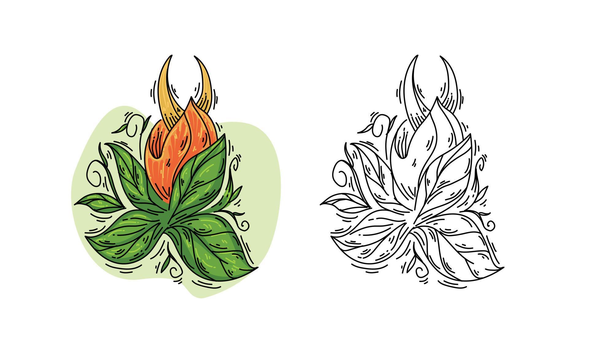 illustration of a flower coloring sketch vector design Stock Free