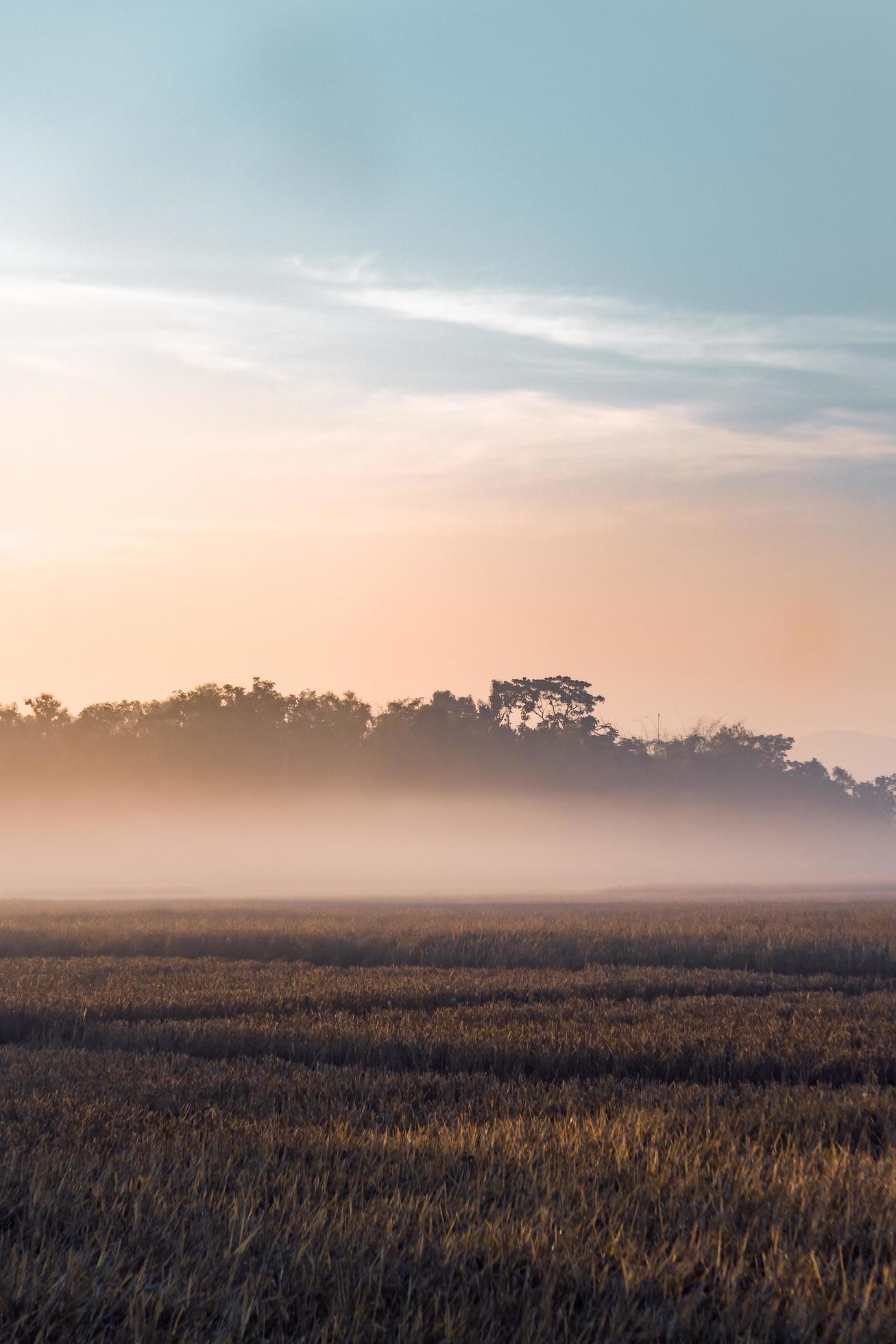 sunrise over the field Stock Free