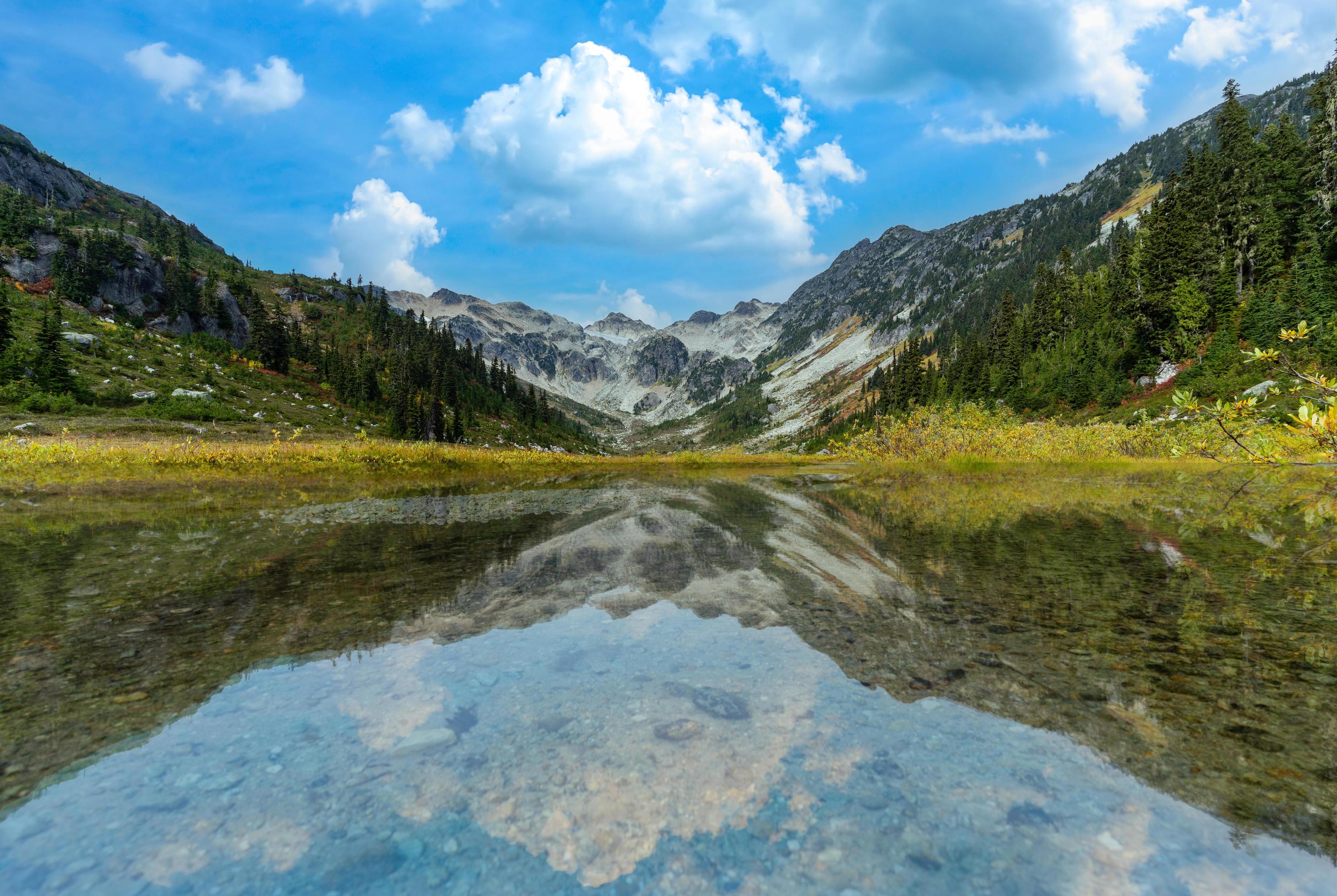 Brandywine Meadows Reflection Stock Free