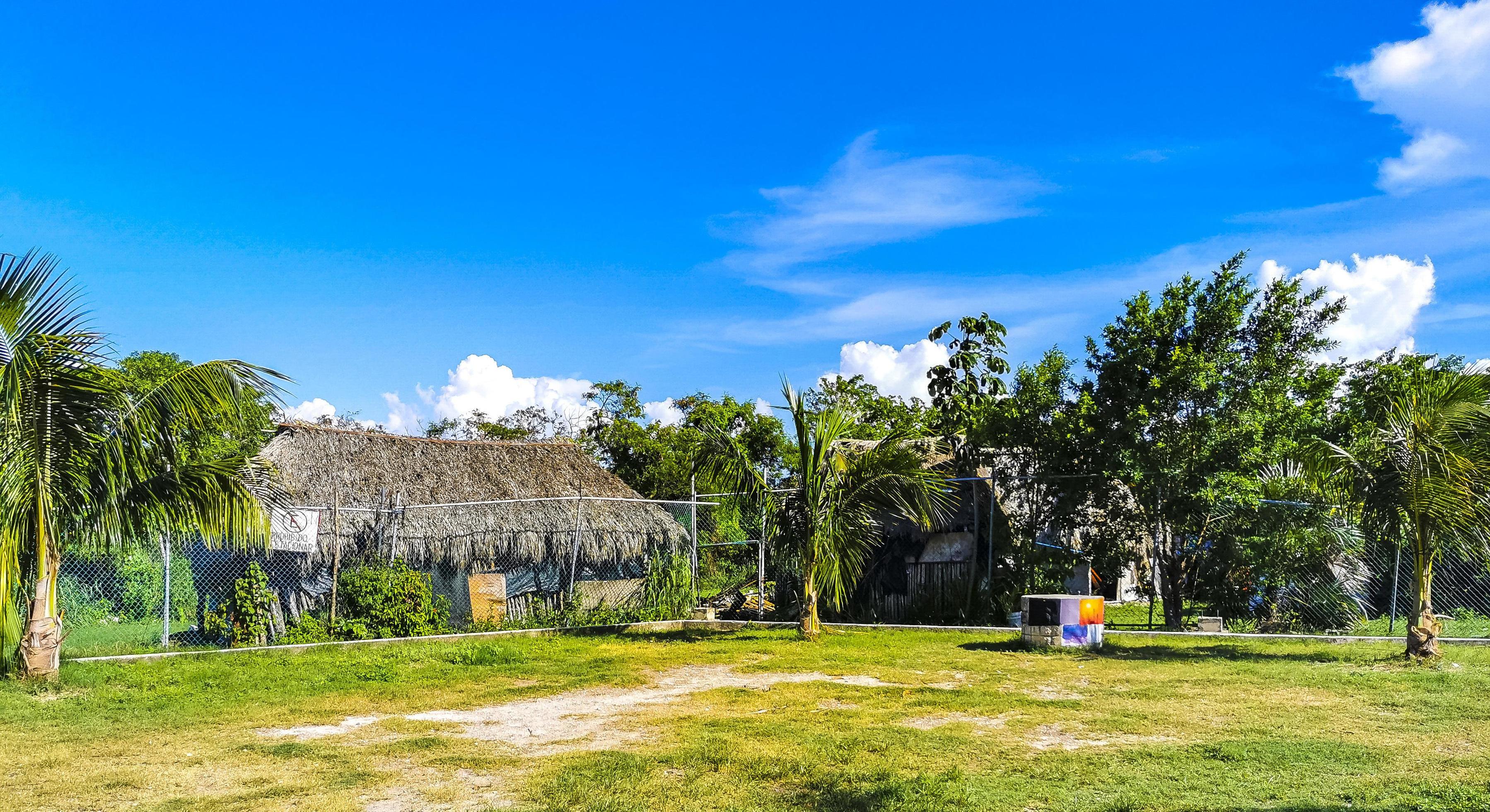 Entrance path of tropical beach between natural huts in Mexico. Stock Free