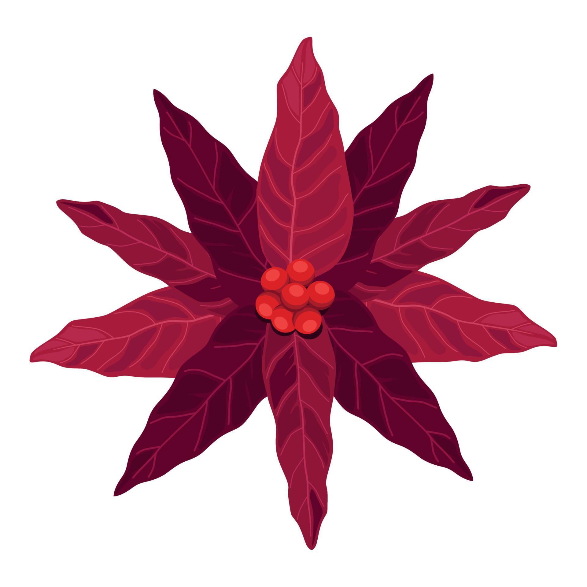 christmas red flower Stock Free