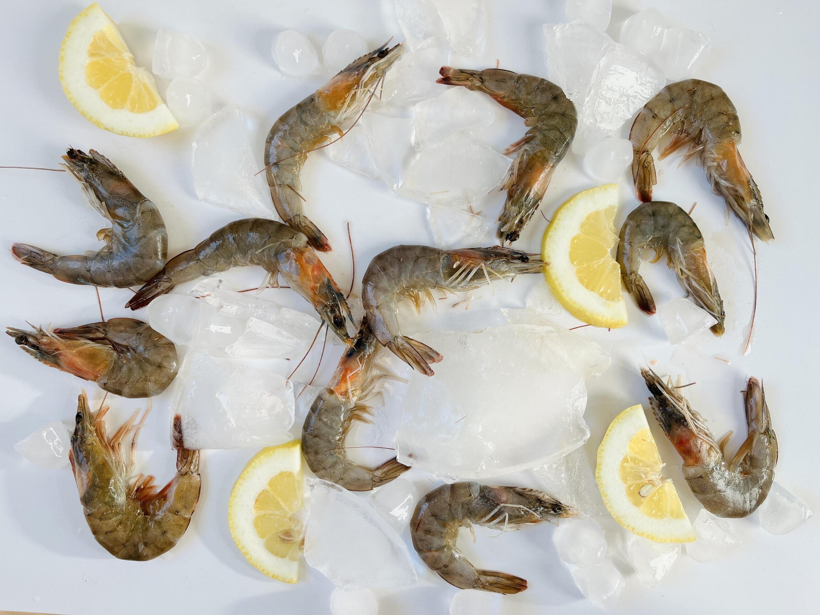 Healthy food. Fresh shrimps with ice and lemon on white background top view Stock Free