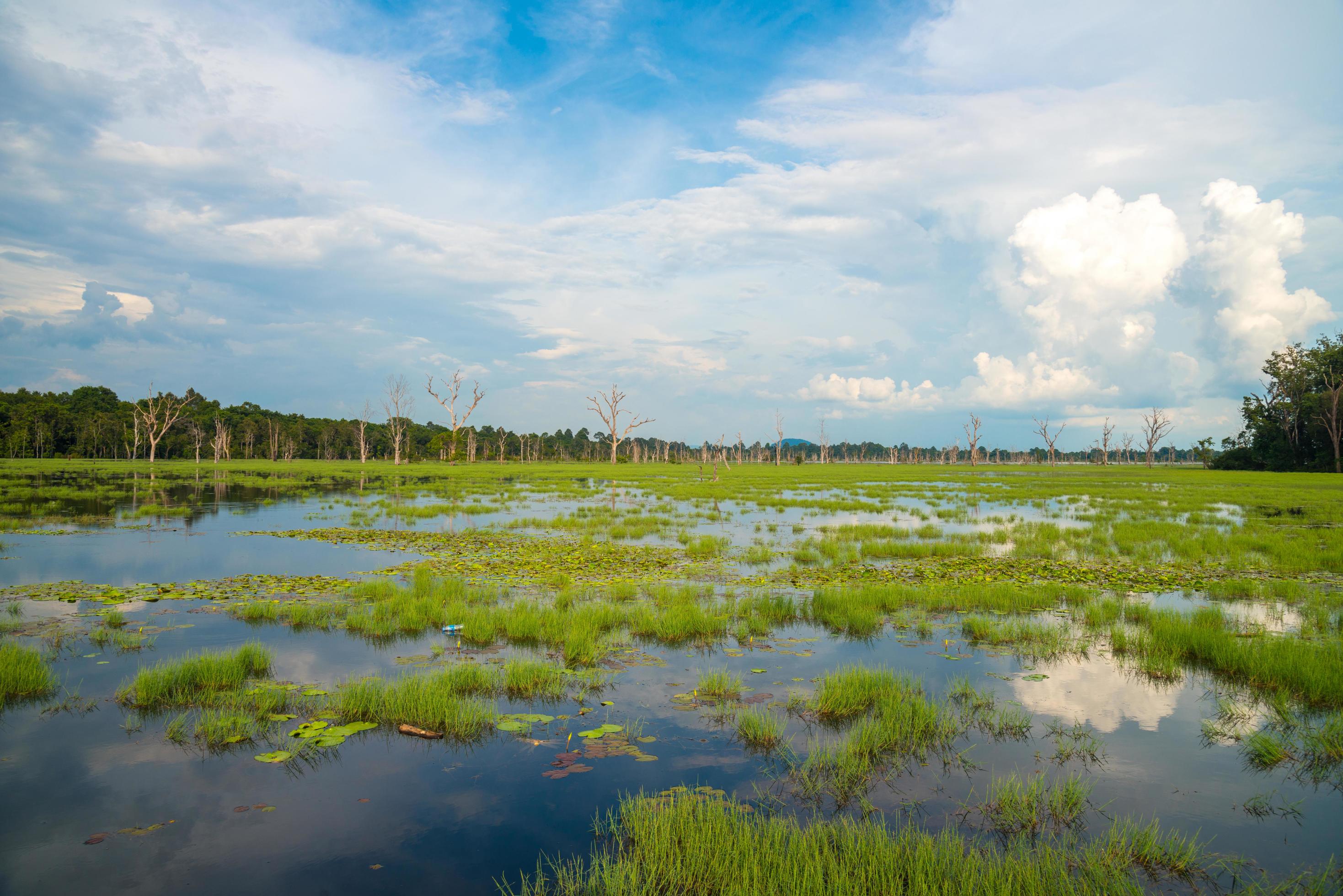 The beautiful landscape in the area of Neak Pean temple, Siem Reap, Cambodia. Stock Free