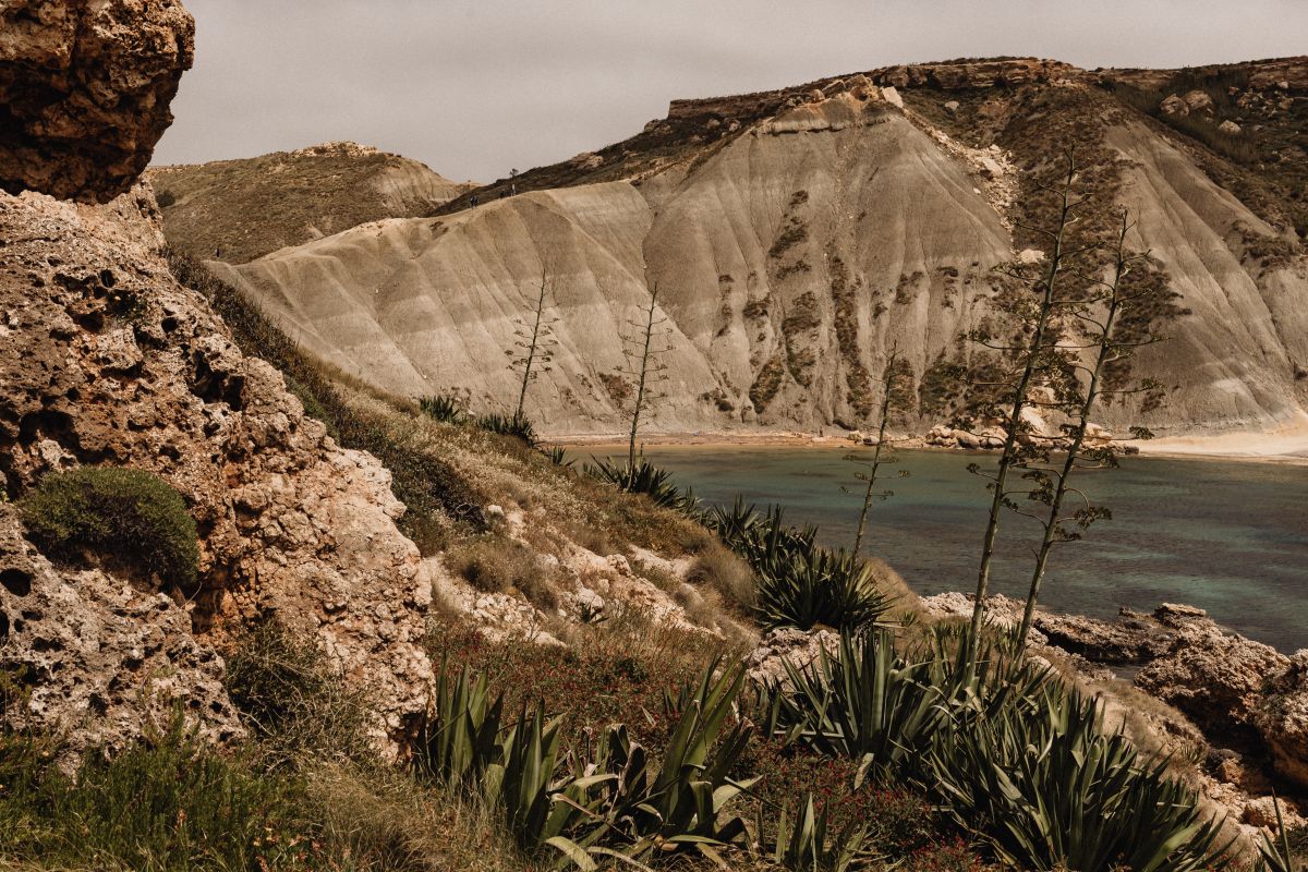 Malta’s Seaside Backgrounds – A Collection of Captivating Seascapes – Rocky Cliffs and Coastal Flora Stock Free