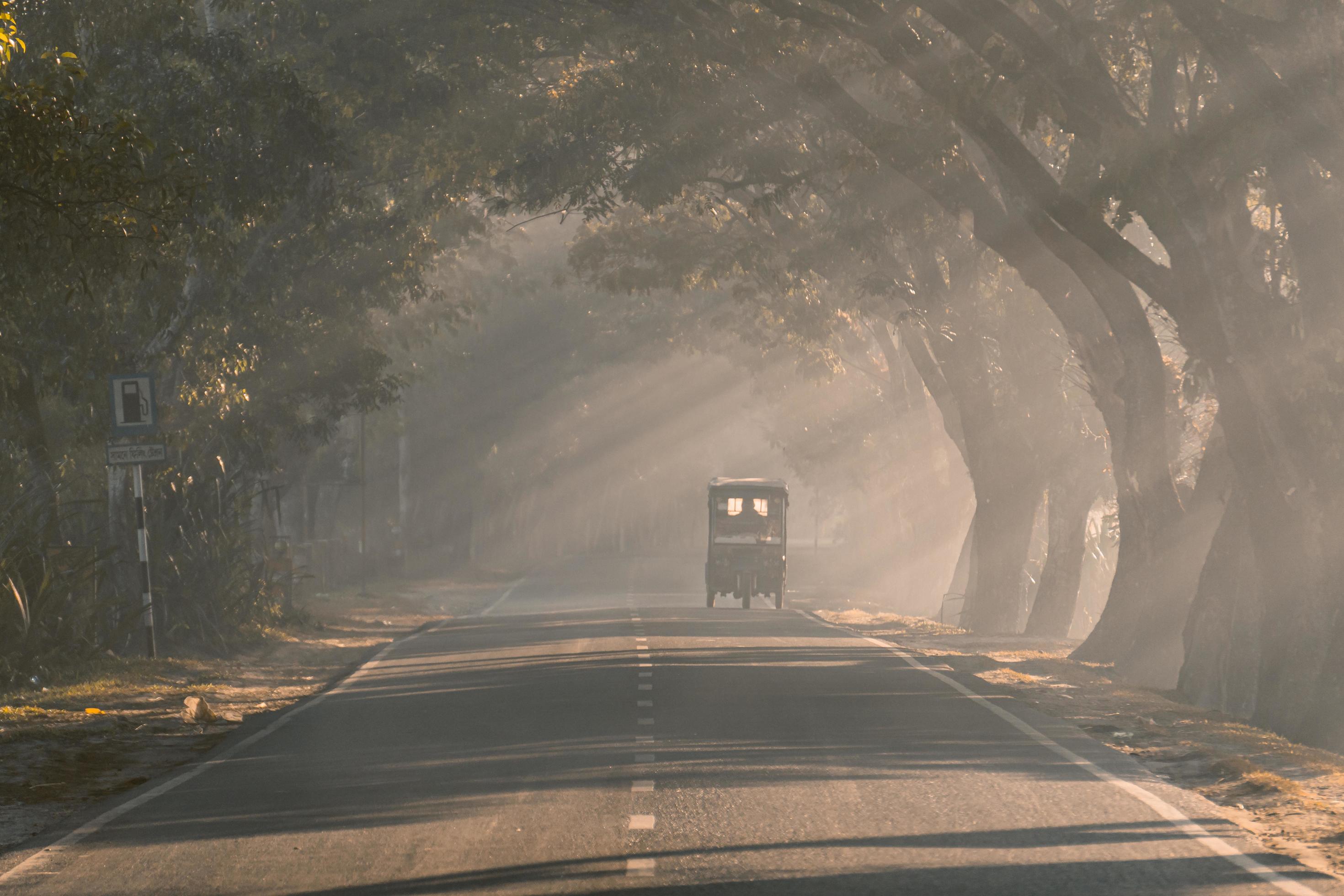 driving through the foggy road Stock Free