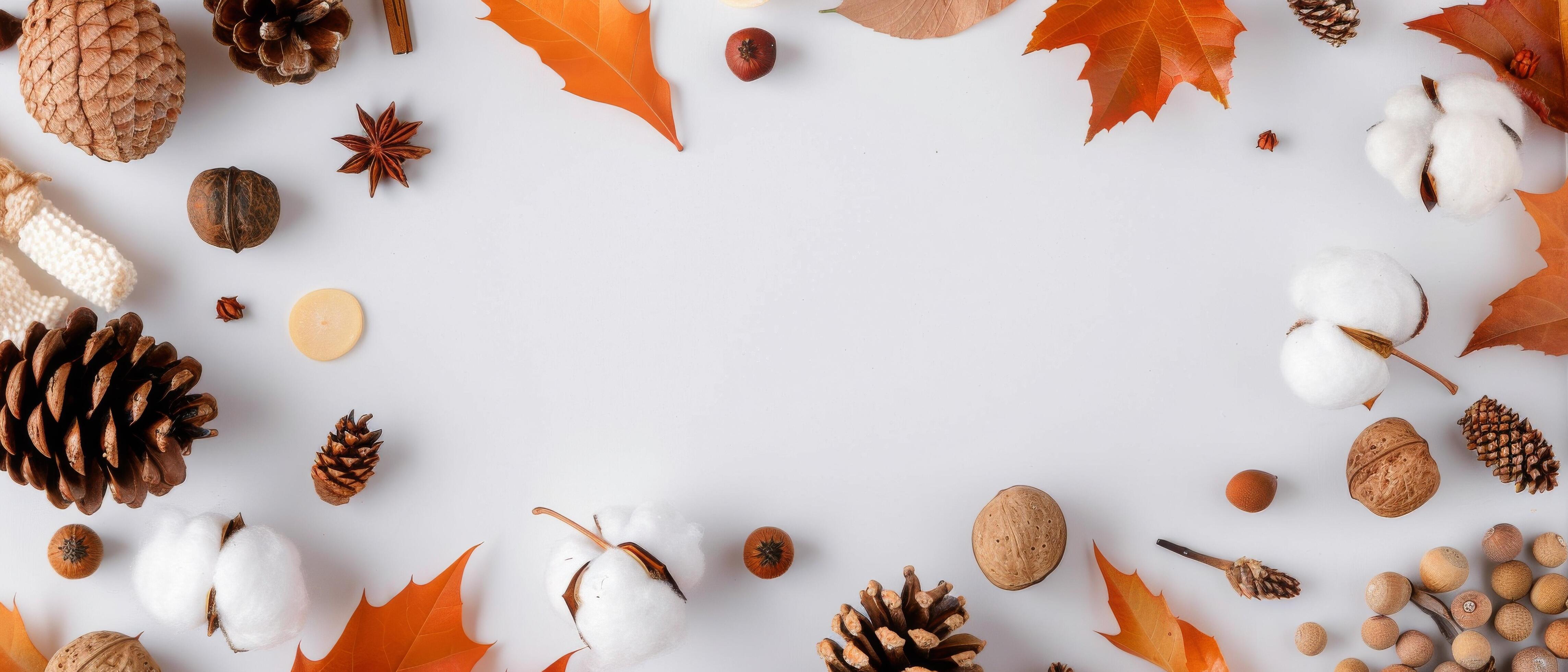 Autumnal Pinecones, Cotton, and Leaves on White Background Stock Free