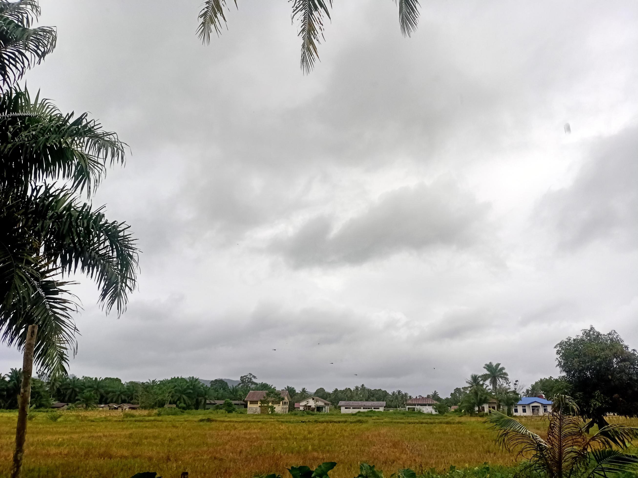 Beautiful view sky of nature Stock Free