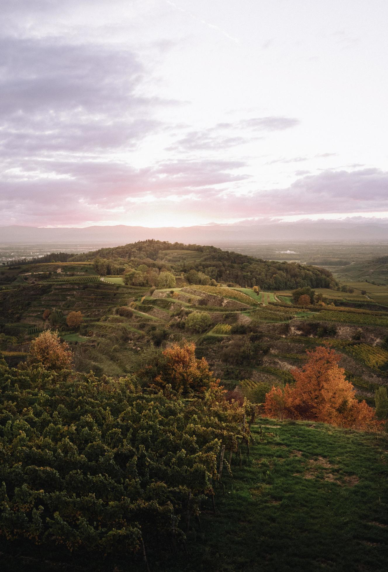 Agricultural land at sunset Stock Free