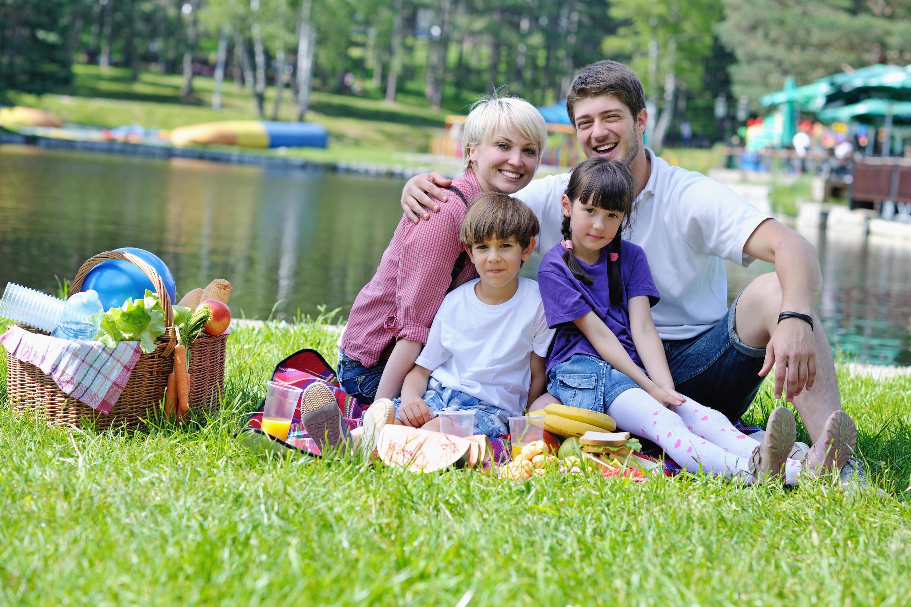 Happy family playing together in a picnic outdoors Stock Free