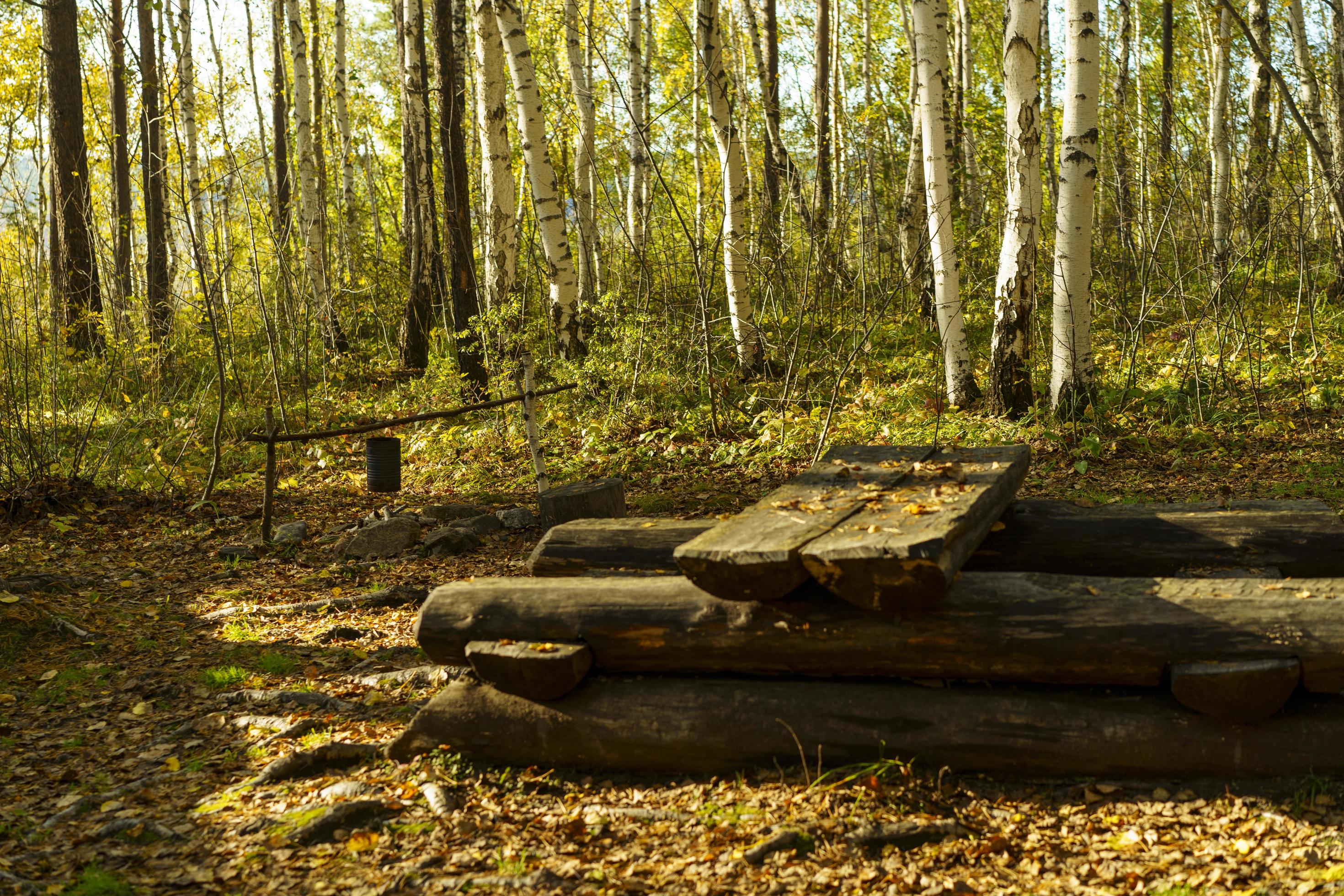 A place to relax in nature in a birch grove Stock Free