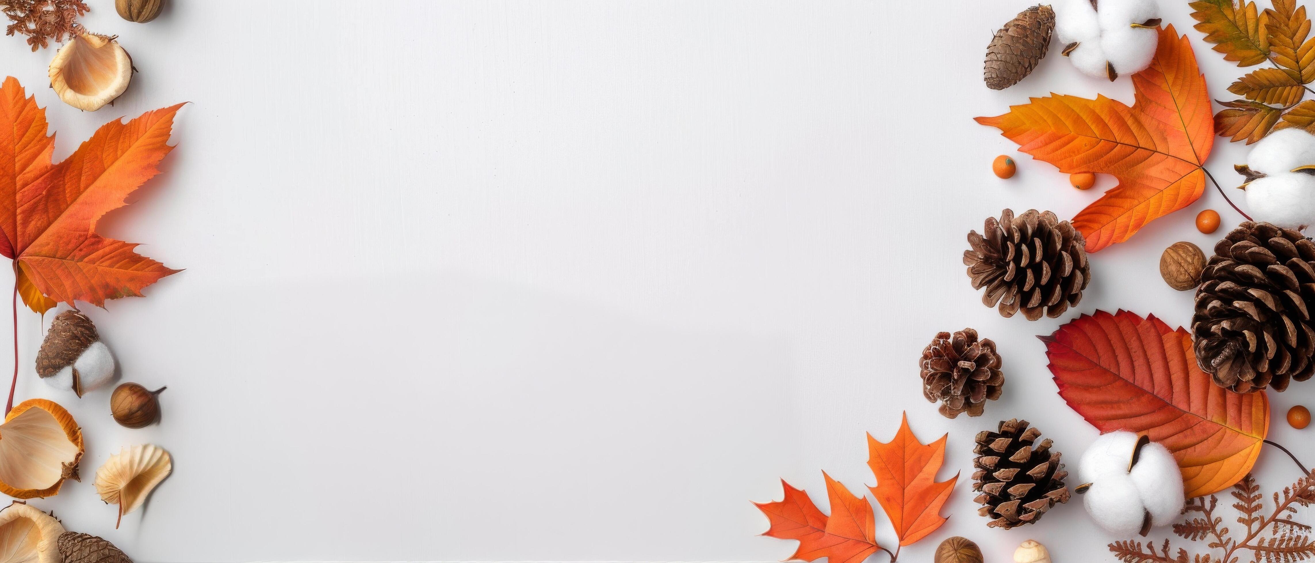 Autumnal Pinecones, Cotton, and Leaves on White Background Stock Free