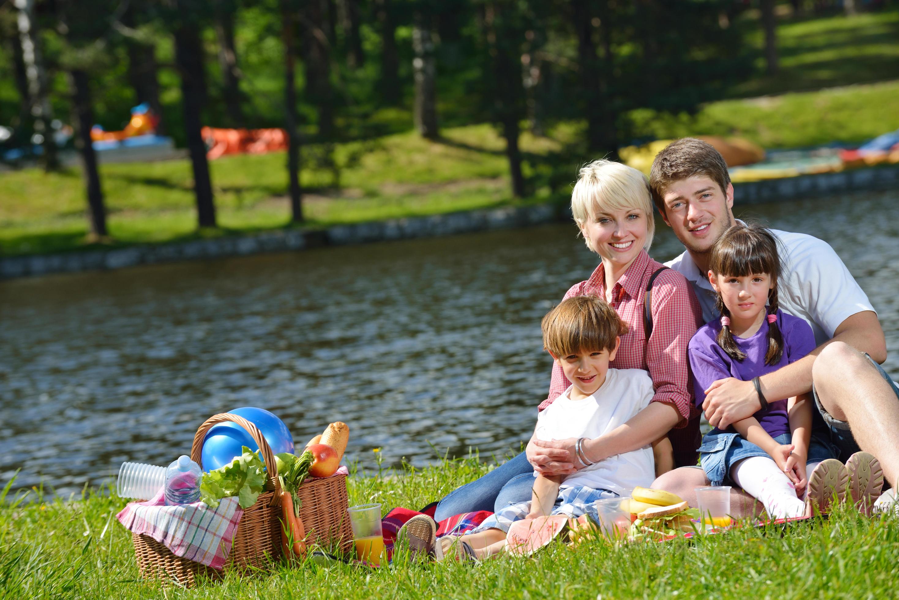 Happy family playing together in a picnic outdoors Stock Free