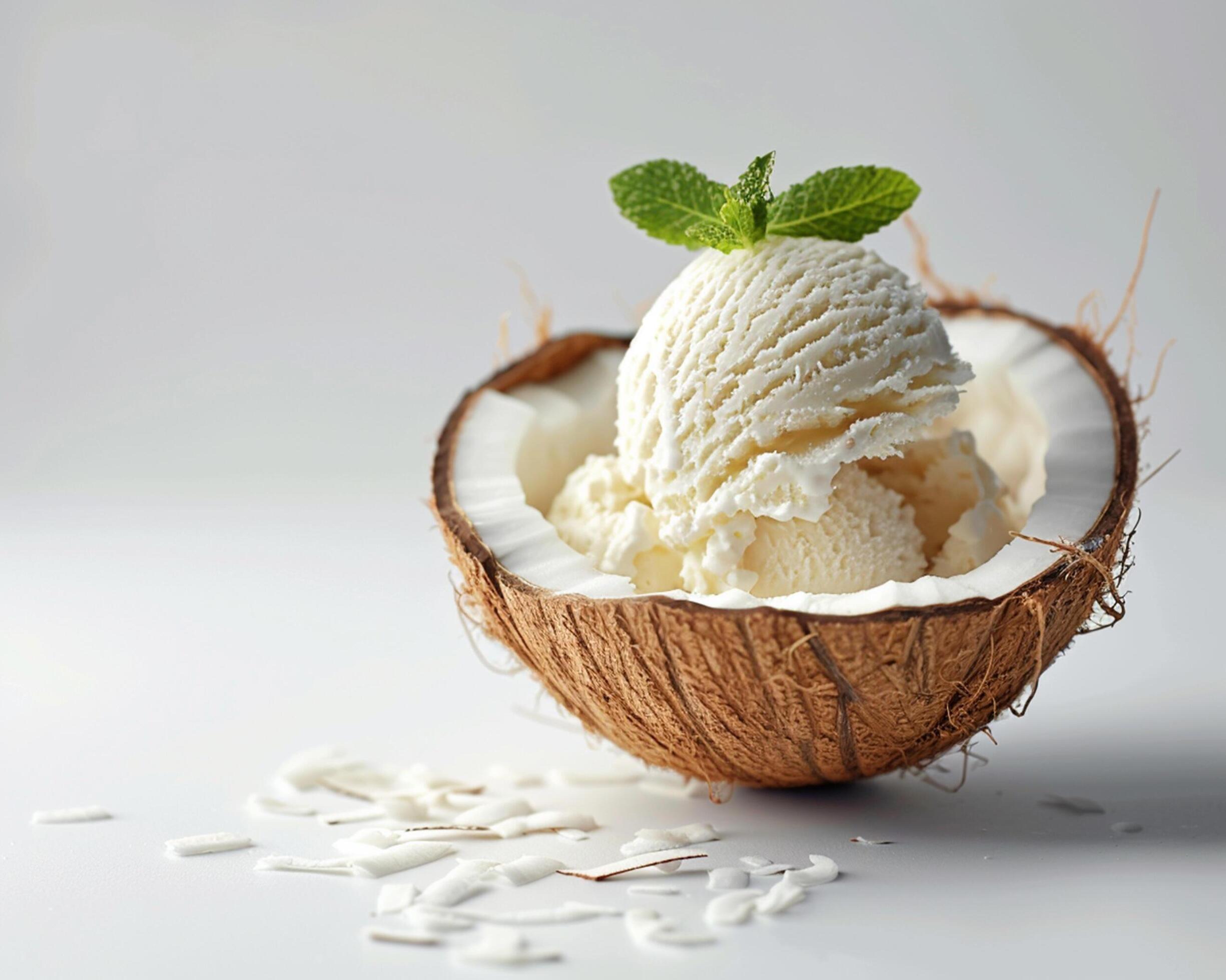 Coconut ice cream with mint leaves Stock Free