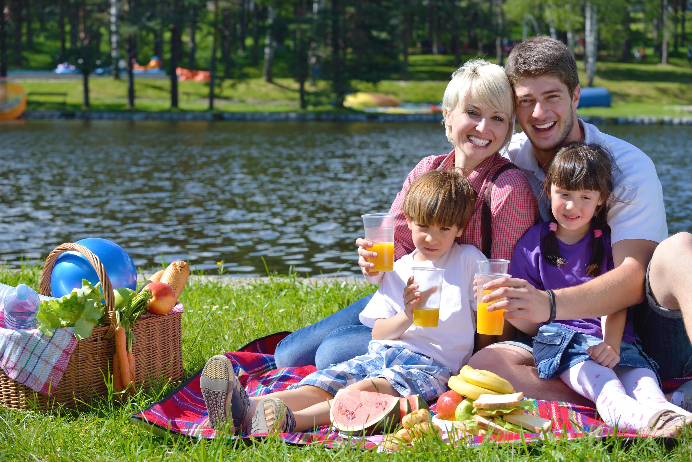 Happy family playing together in a picnic outdoors Stock Free