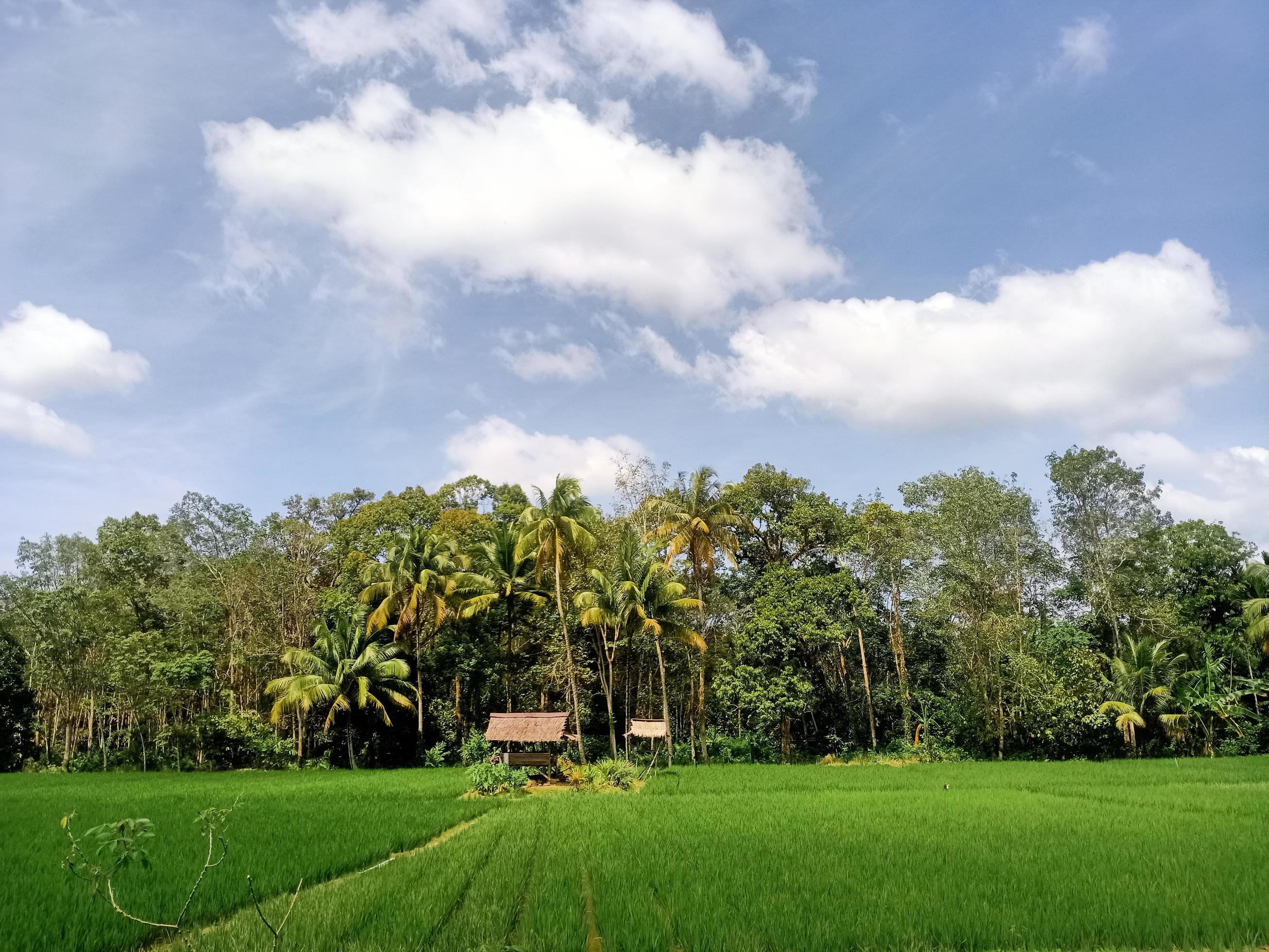 Beautiful natural scenery during the day Stock Free