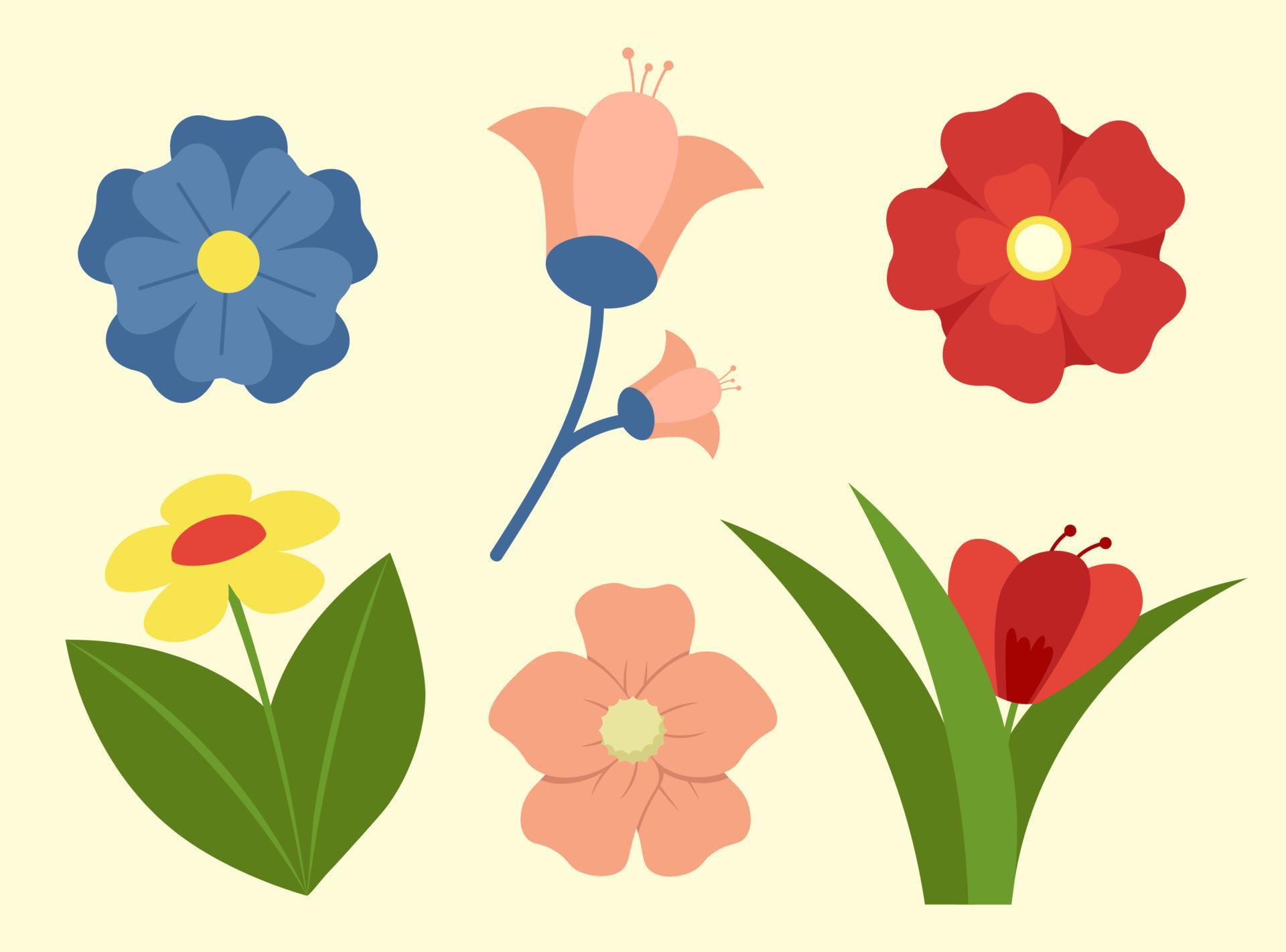 Collection Of Spring Flowers, Design Elements With Blooms Vector Illustration In Flat Style Stock Free